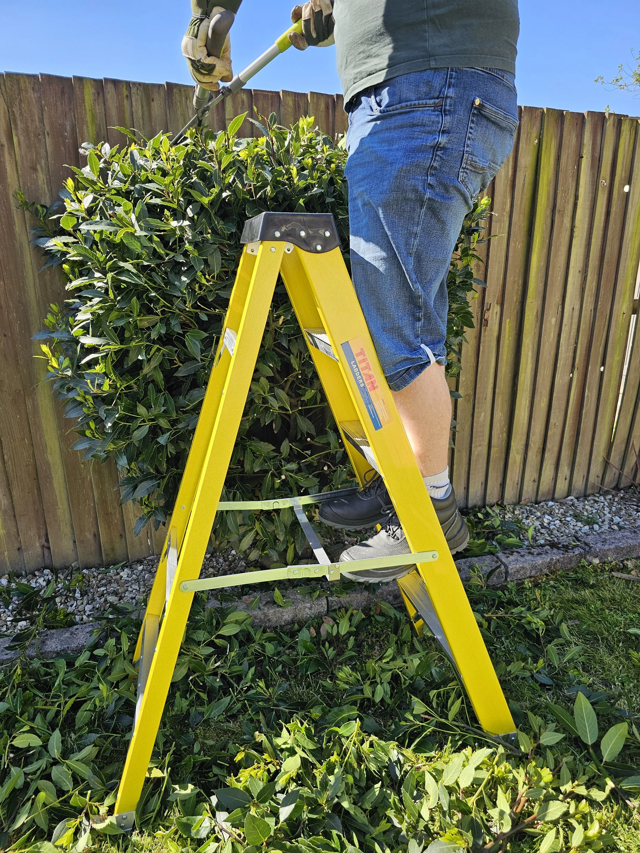 Gardener using step ladder for hedge trimming in garden