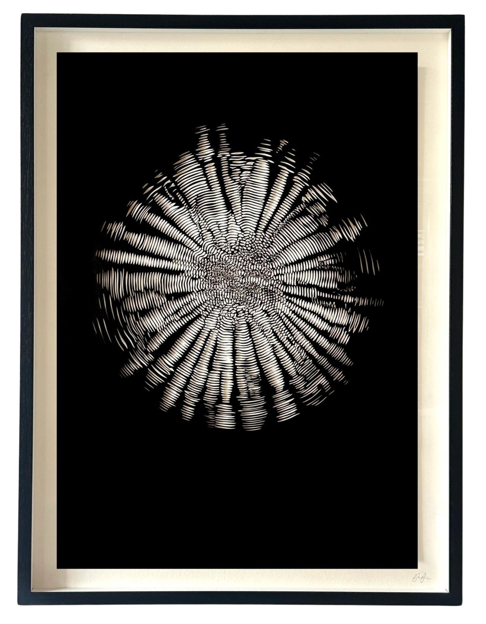 Untitled+design.jpg