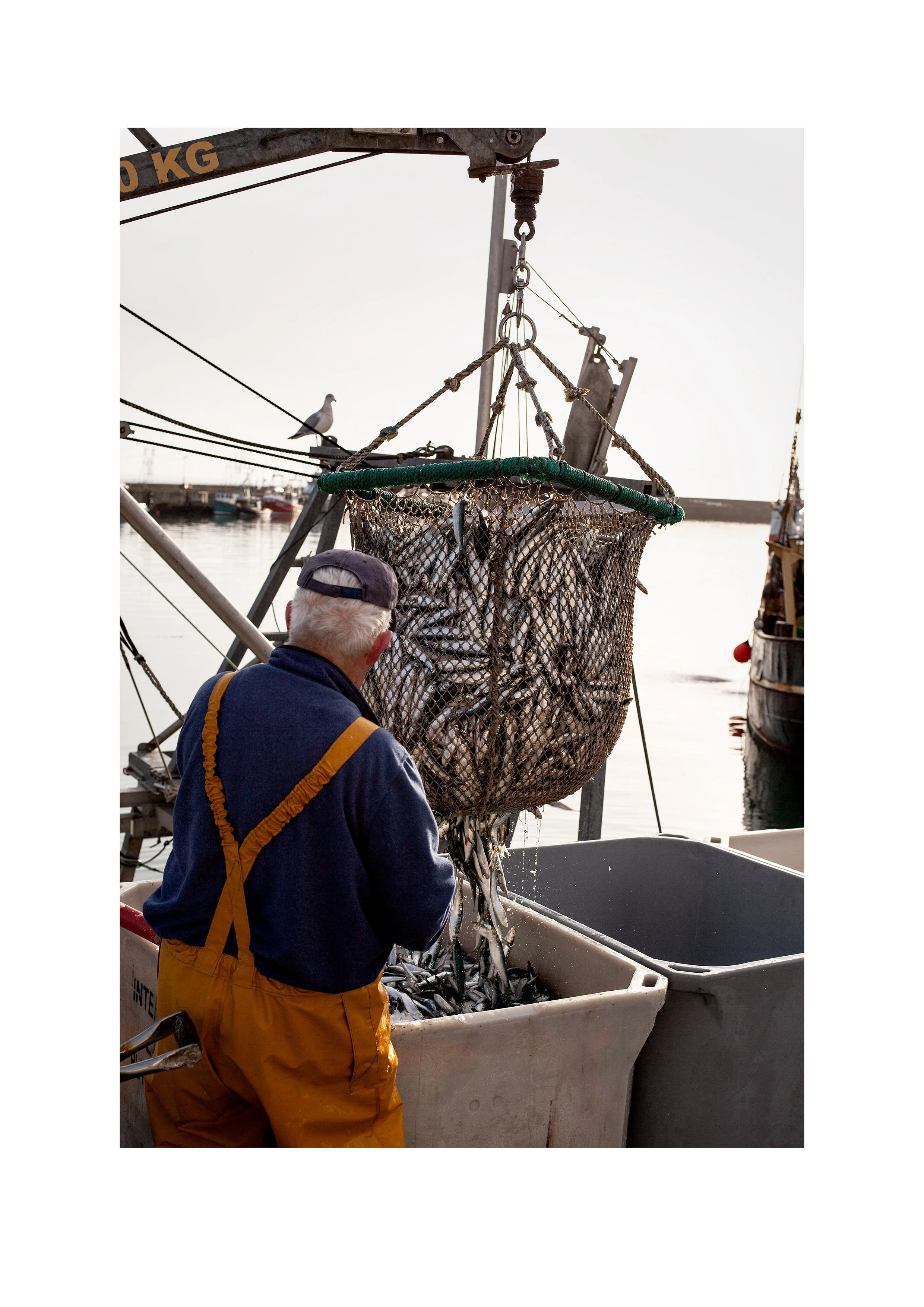 serenedawn-a4.jpg (Copy)