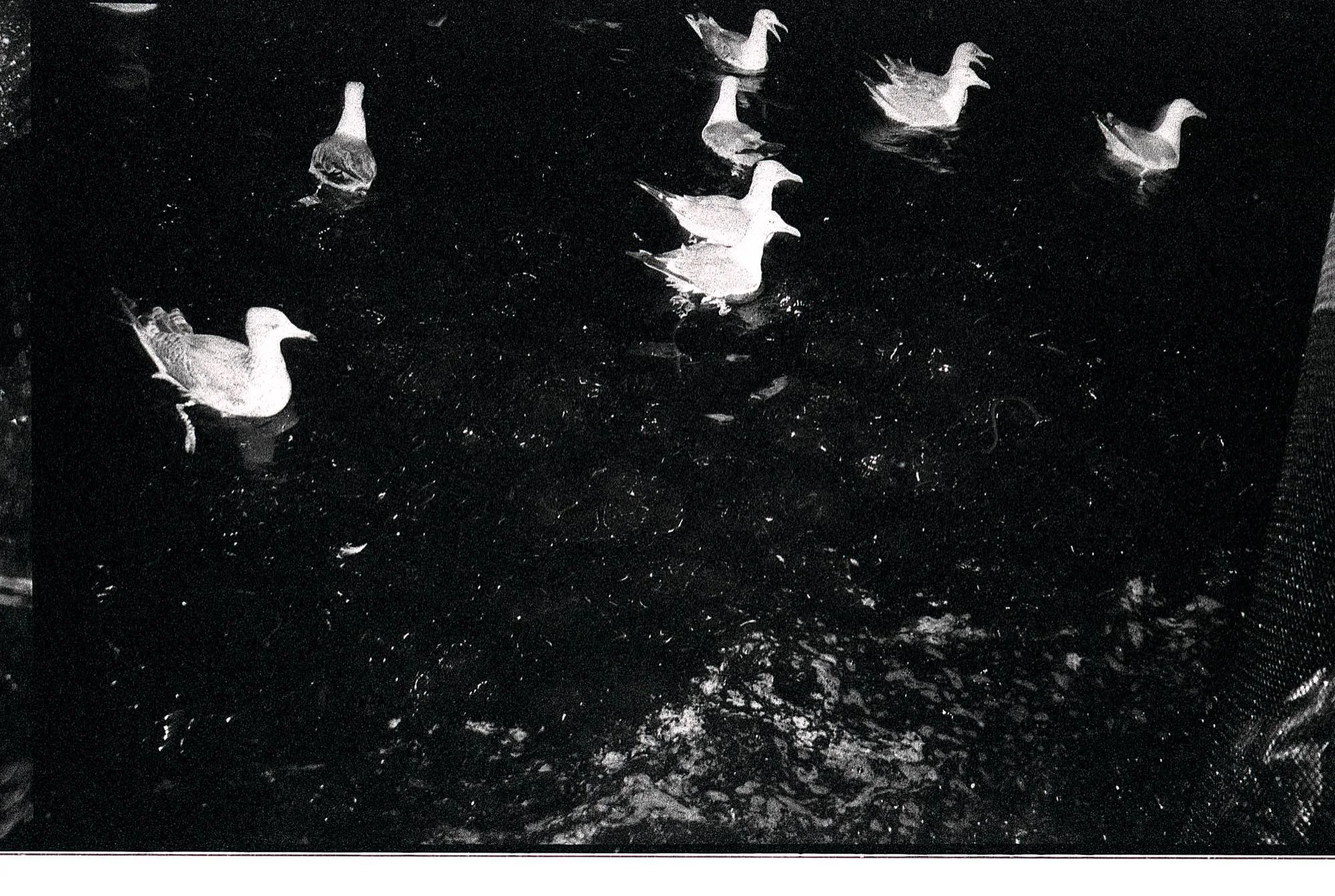 PHOTO71.jpg