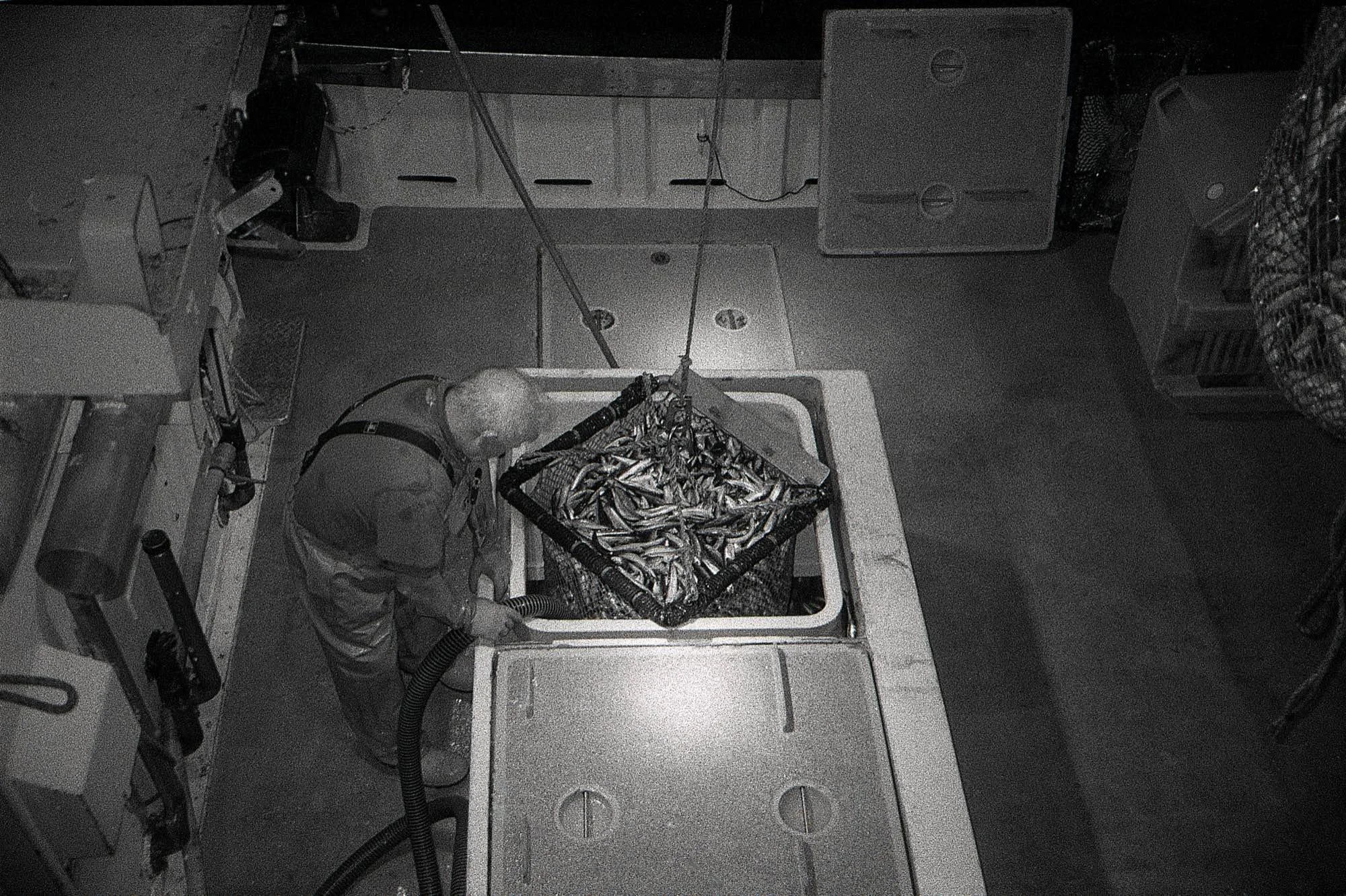 PHOTO3.jpg
