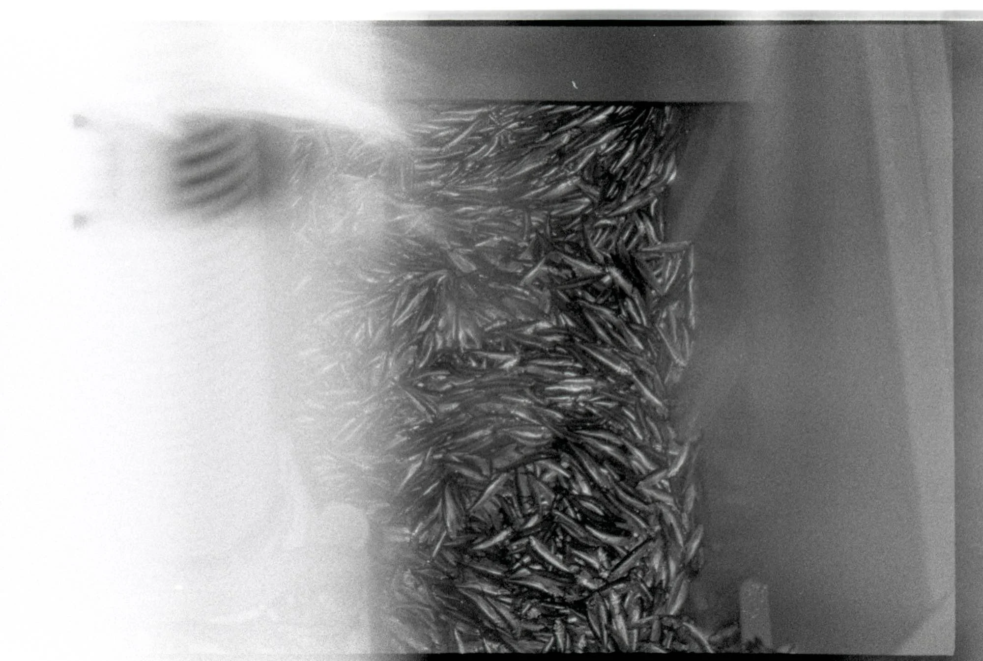 PHOTO63.jpg