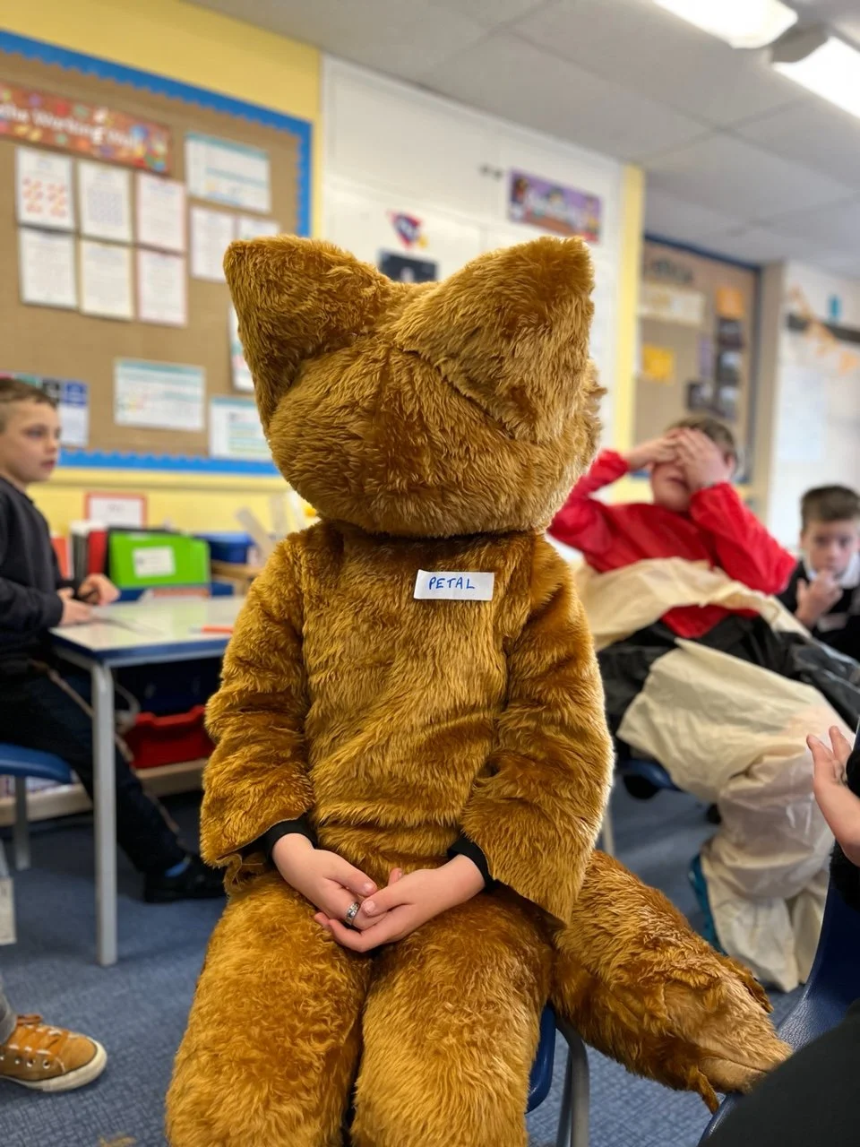 A Cheshire Cat and a Kiwi Konflict