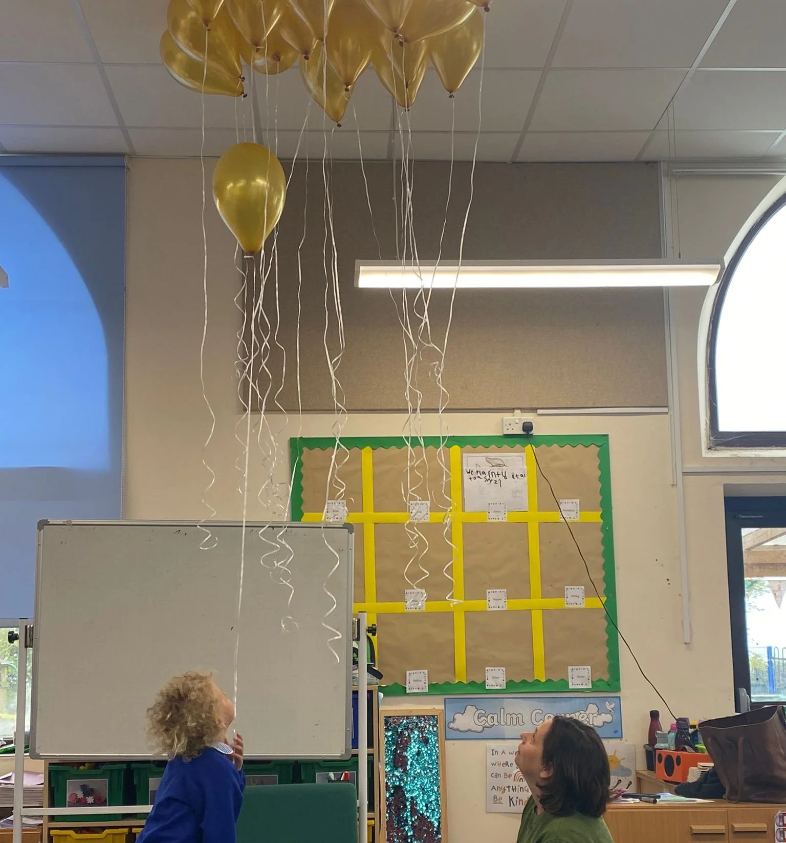 Weather Balloon Wonder!