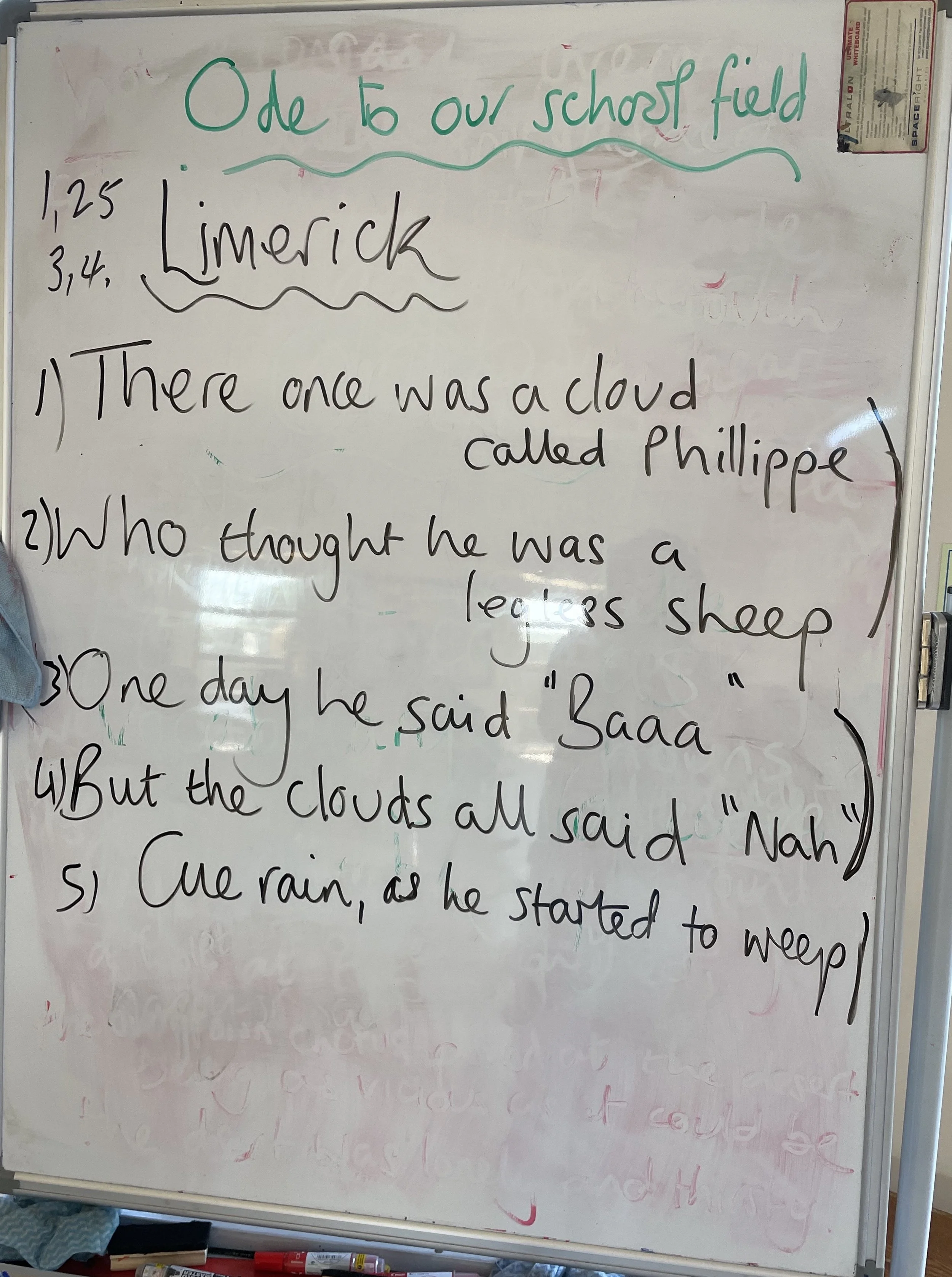 Awesome Odes &amp; Loopy Limericks