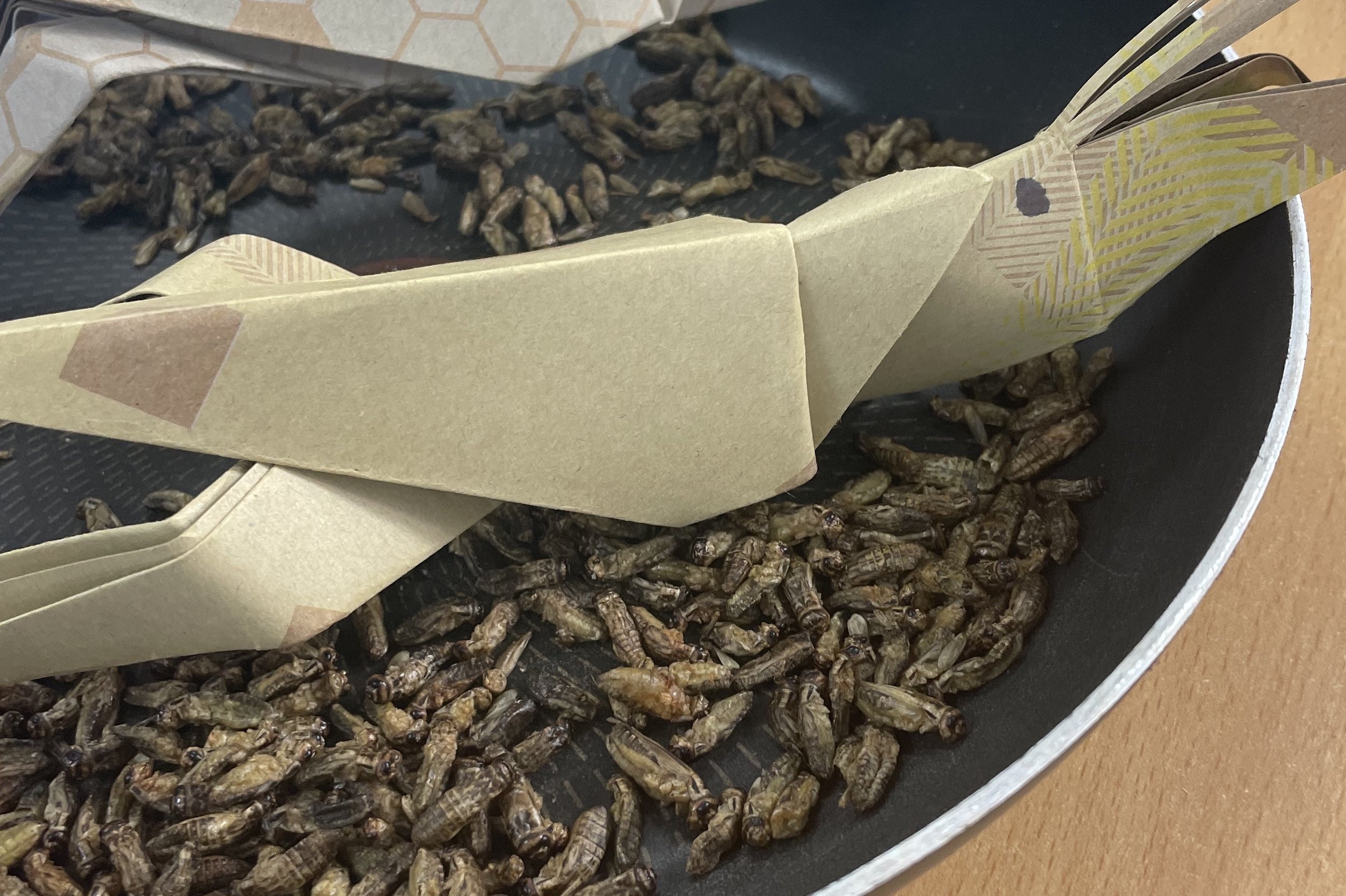 Crunchy Crickets Hit the Spot