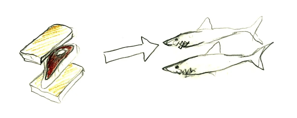 Saving the Bank Manager: Mountjoy School survival guide