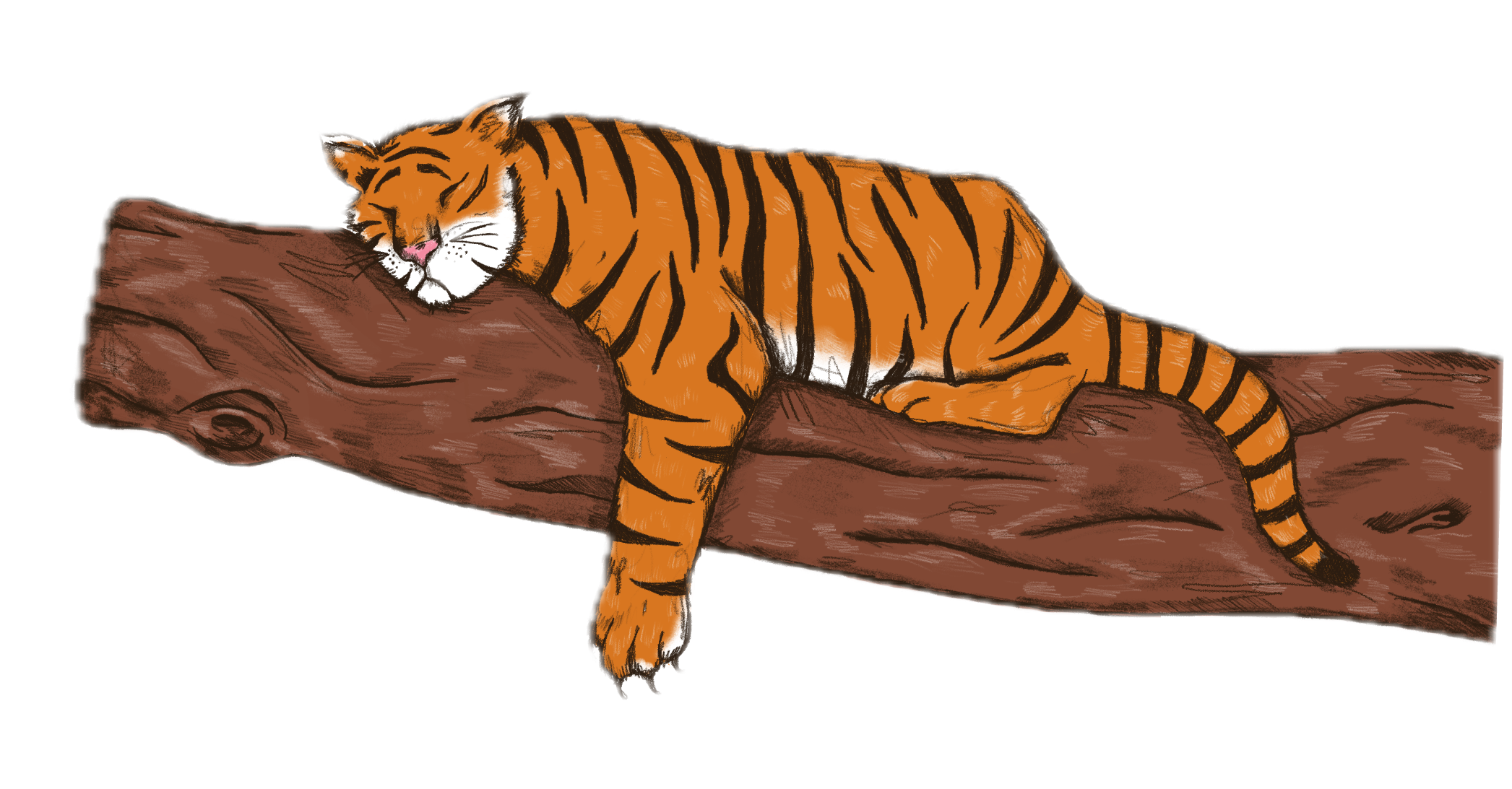 A Practical Guide to Surviving Tigers (and Other Poor Decisions)