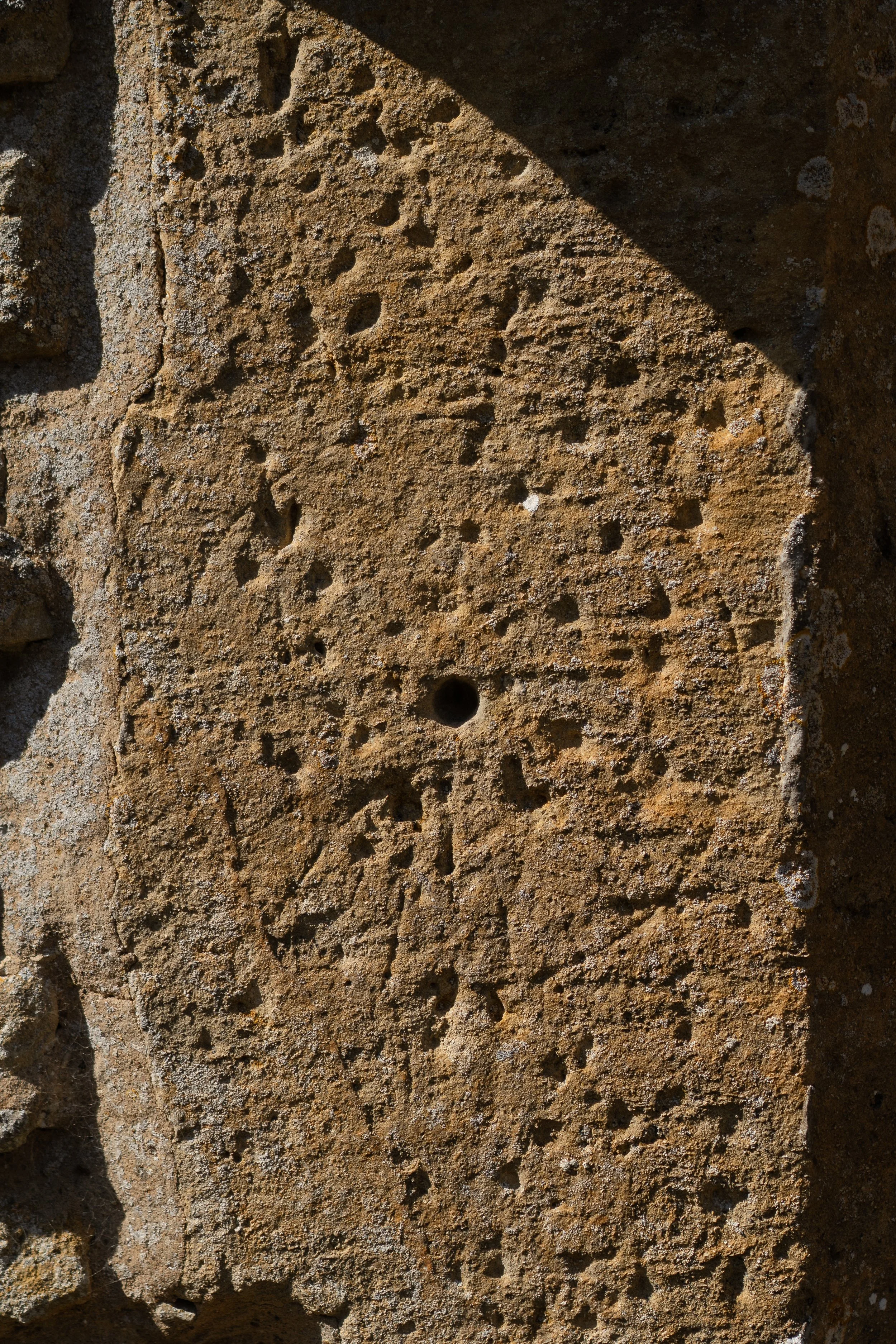 DSC03090-2.jpg