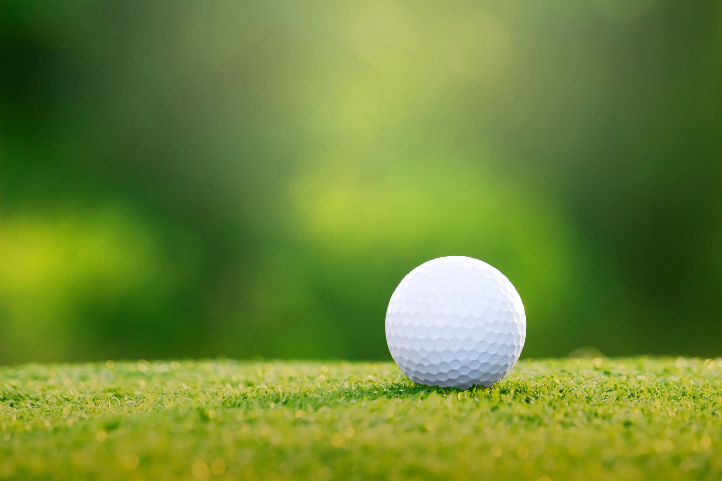 golf_minigolf.jpeg