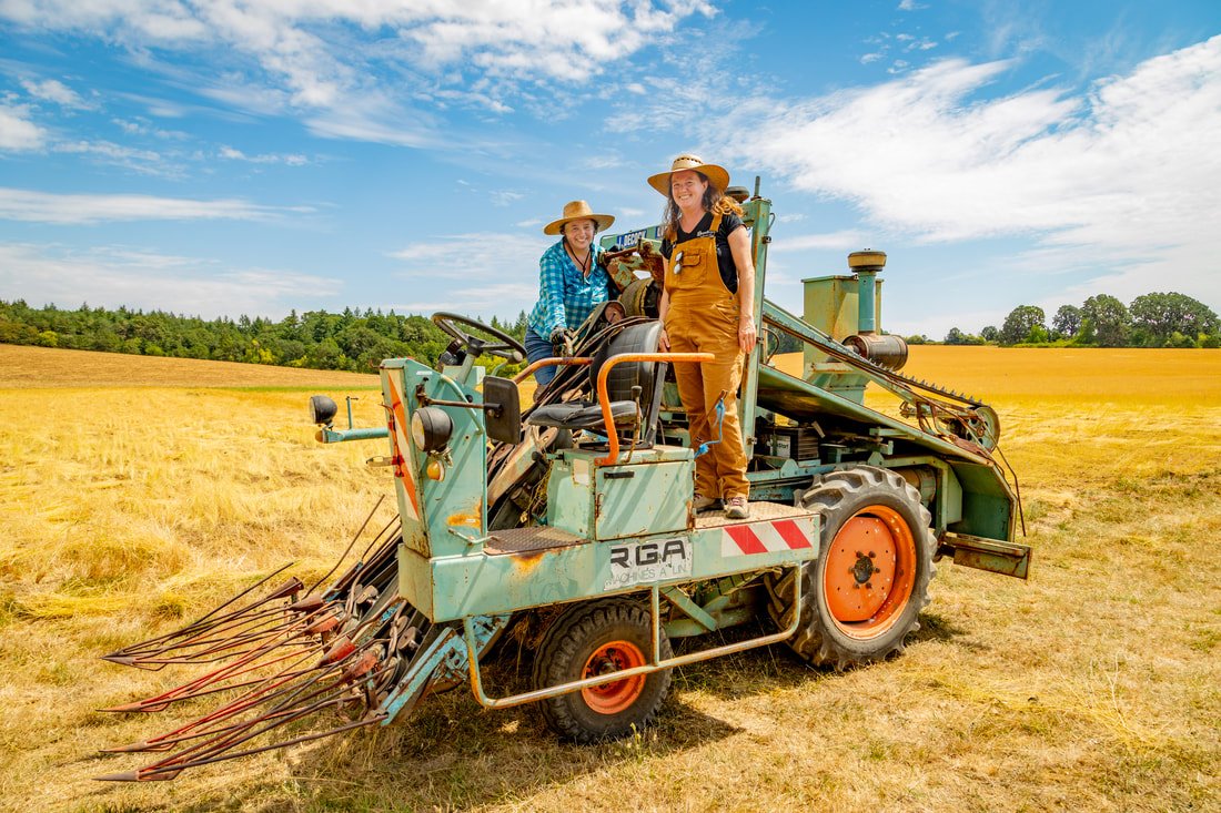 Angela Wartes-Kahl and Shannon Welsh during the flax fiber harvest in August 2023. Photograph by John Morgan.jpg