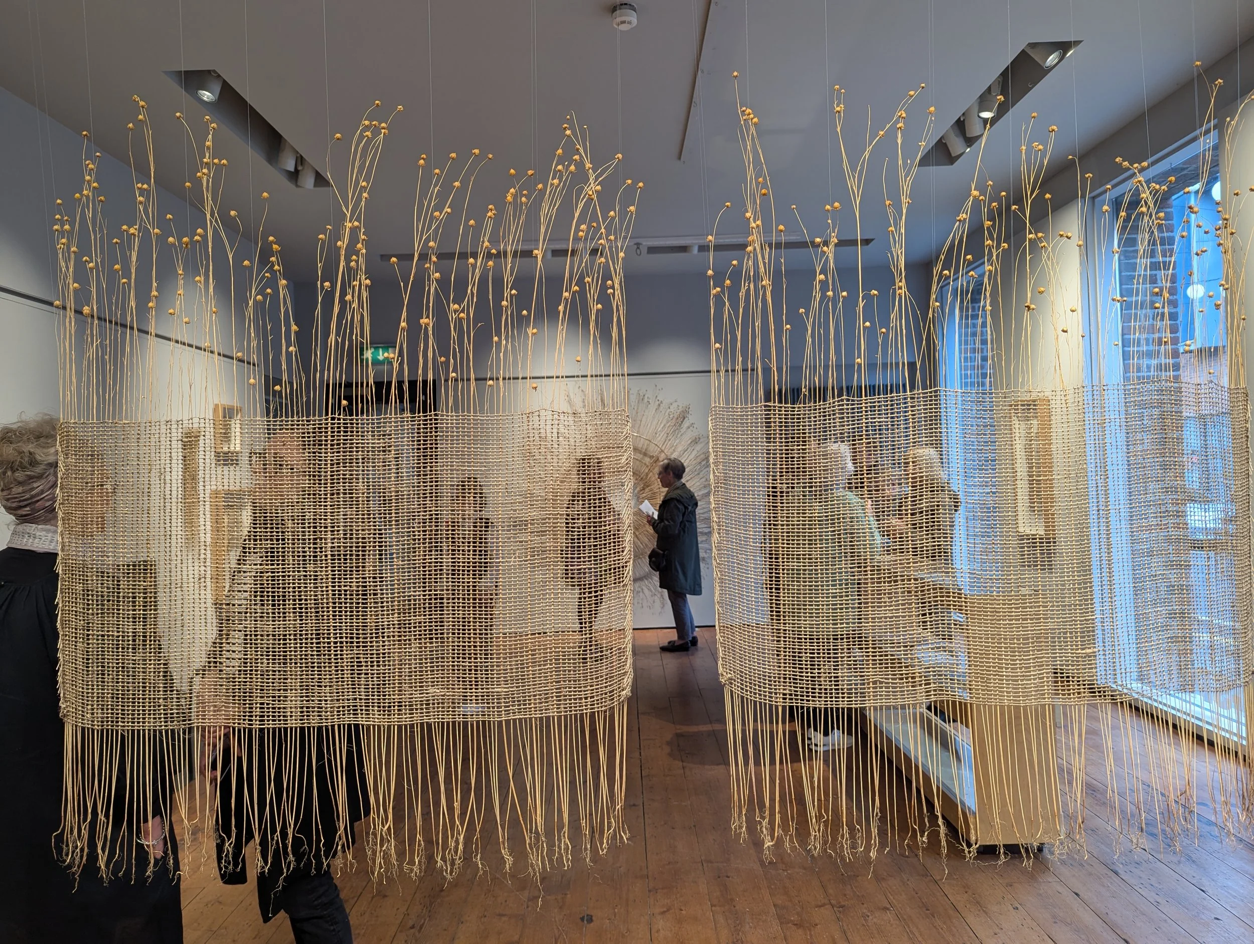 PXL_20250927_134616413 (1).jpg