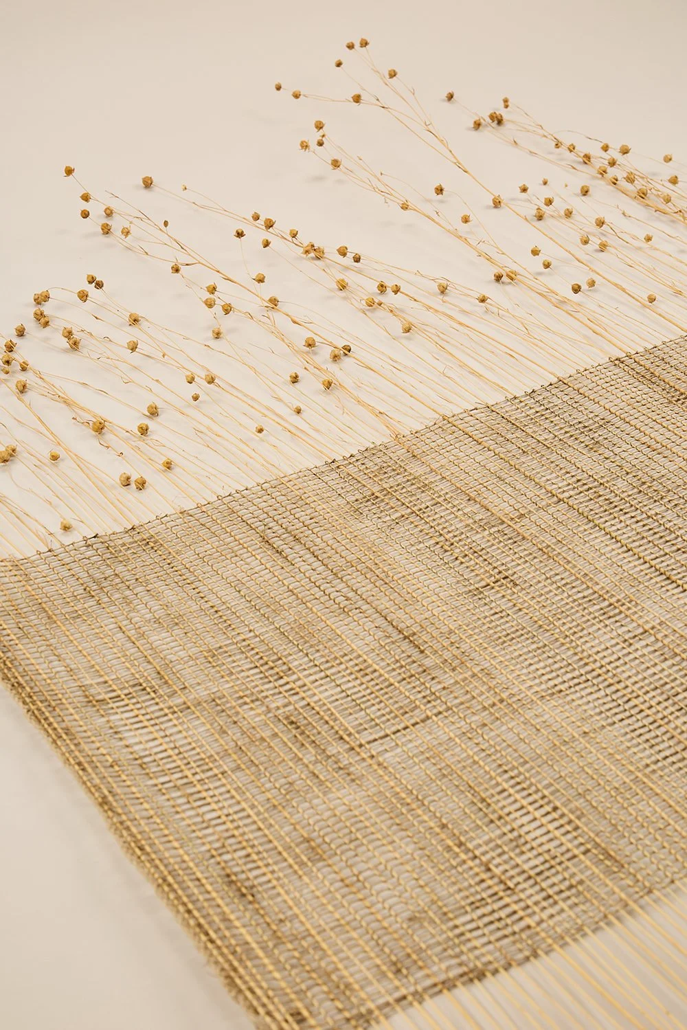 Alice Fox KB Flax Field detail small.jpg
