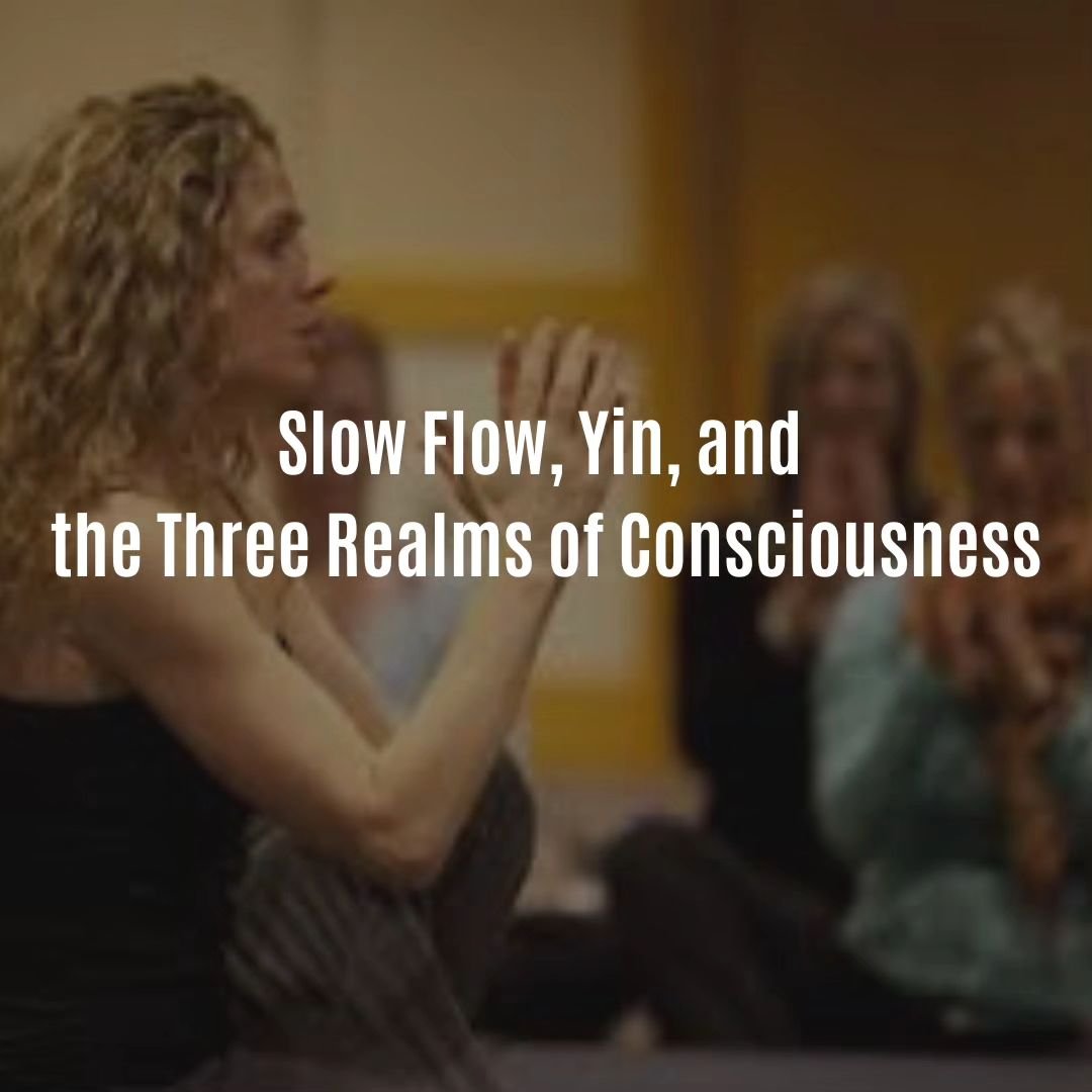 Join us Saturday, May 18th, from 2-5PM for Seane Corn's Yoga and Transformational Inner Work (TIW) series. This session will focus on 'Slow Flow, Yin, and the Three Realms of Consciousness: An Energetic Portal to Transformative Change.❤️
.
.
Discover