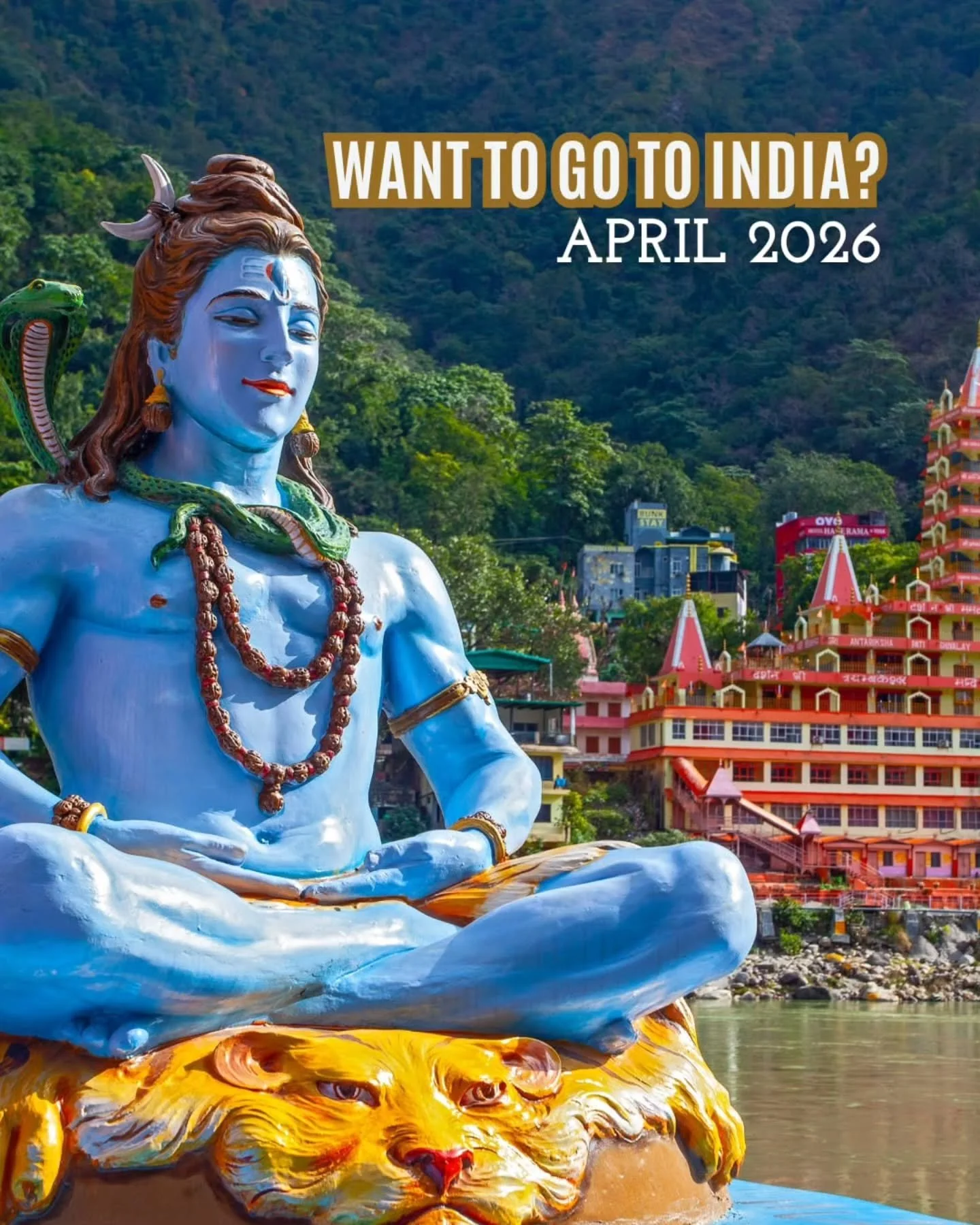 Escape to Rishikesh and discover the yoga journey of a lifetime! 🌸 
.
.
Terri's expert guidance, combined with the awe-inspiring beauty of the Himalayas and the Ganges, creates an experience you'll cherish forever. 💫 
.
.
Ready to say YES? Click th