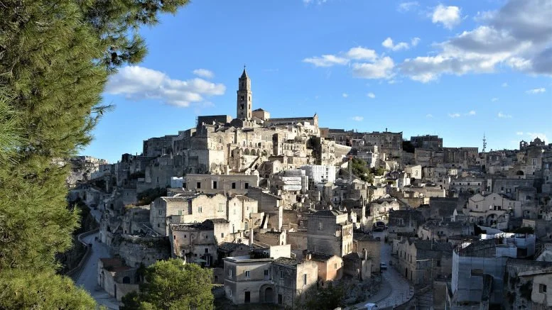 Italian Hemp to be Used for Soil Cleanup, Building Materials Italian Hemp to be Used for Soil Cleanup, Building Materials