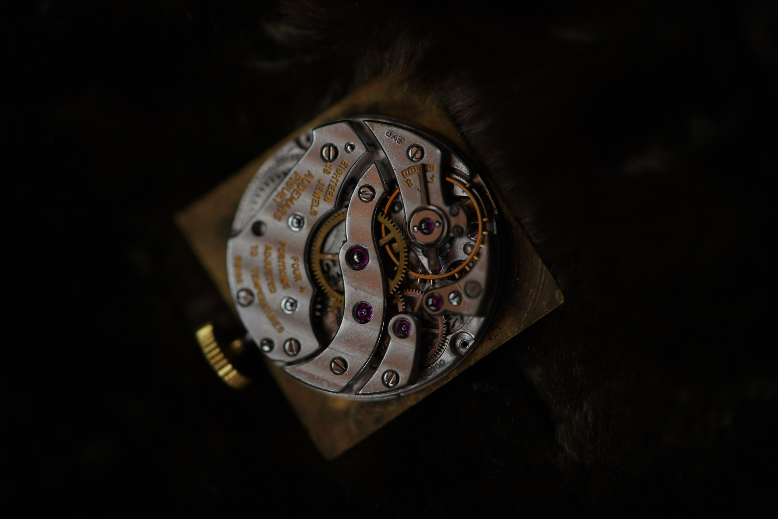 DSC05769.png
