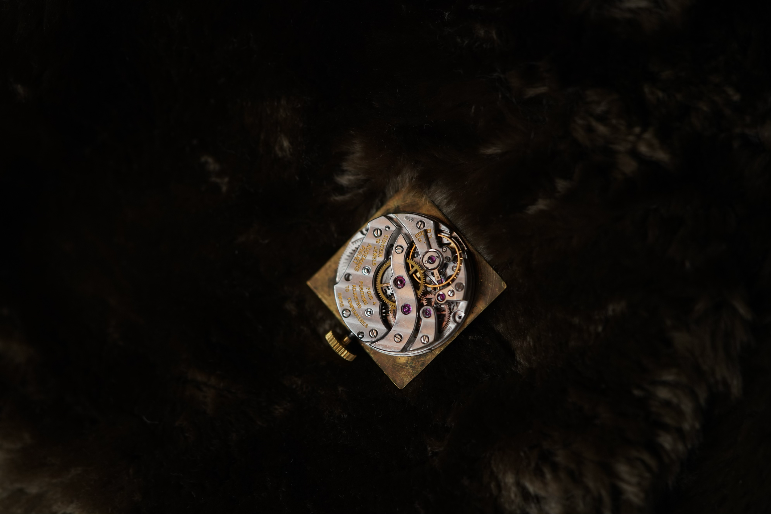 DSC05762.png