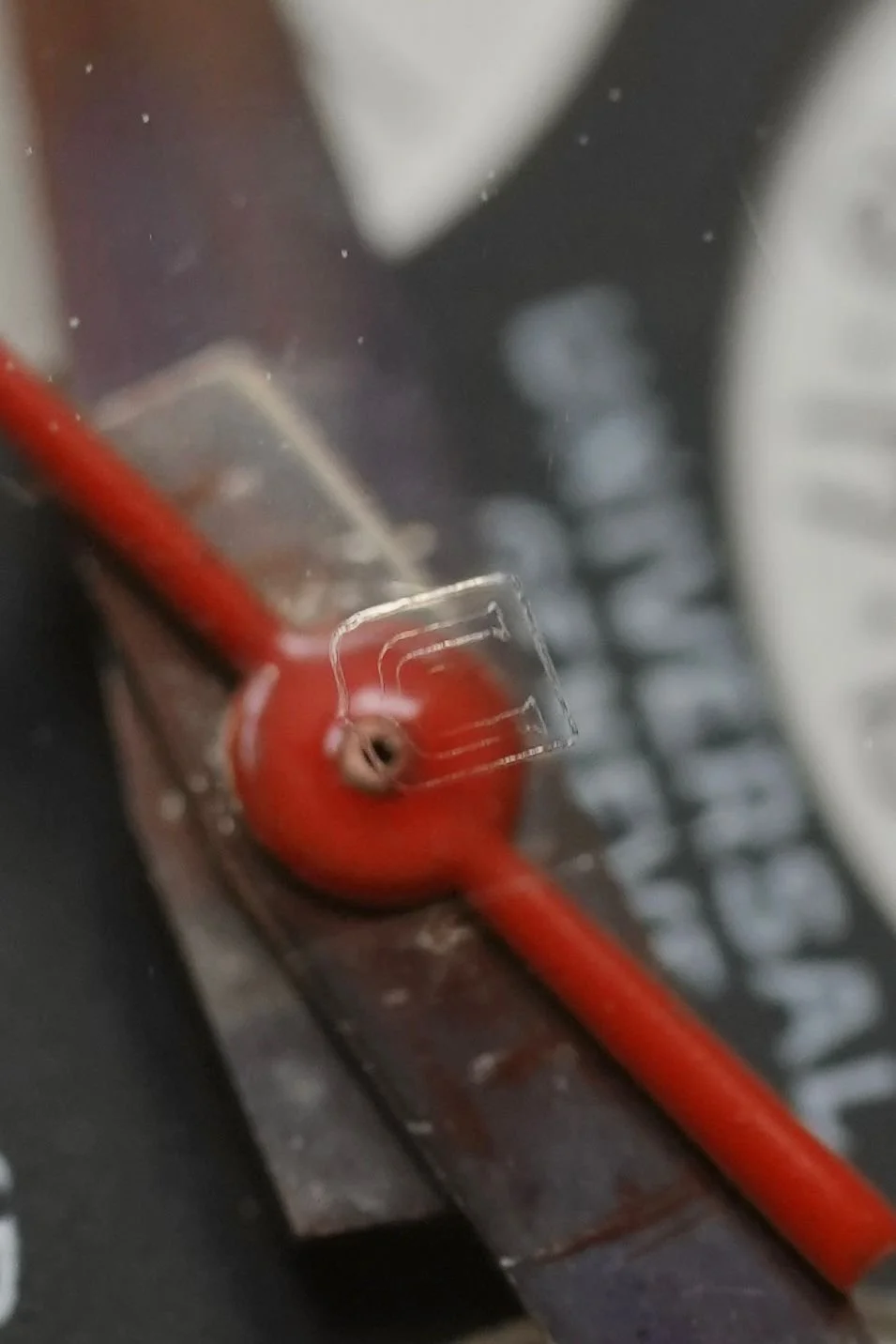 WhatsApp Image 2026-03-25 at 15.22.05.jpeg