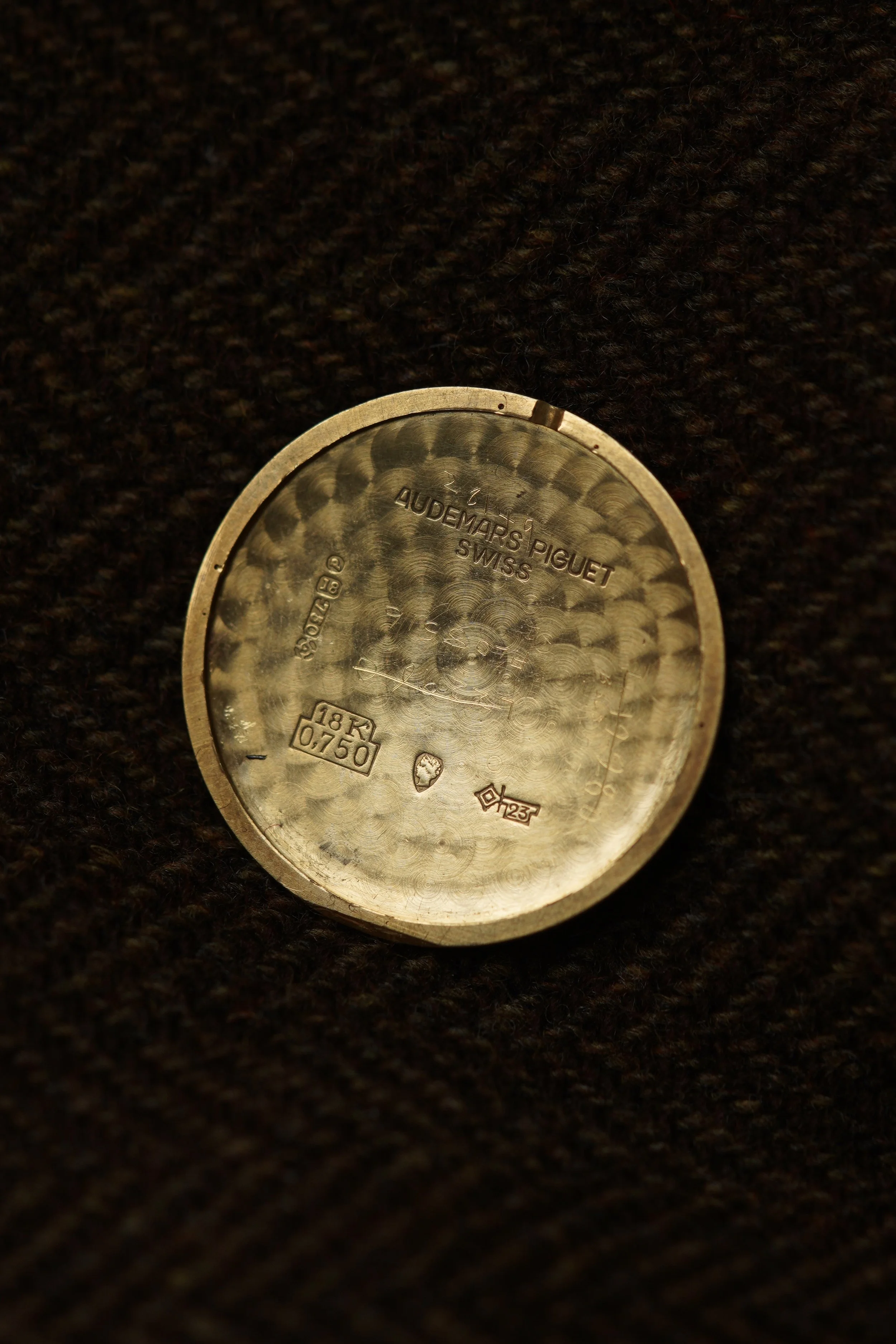 DSC02717.jpg