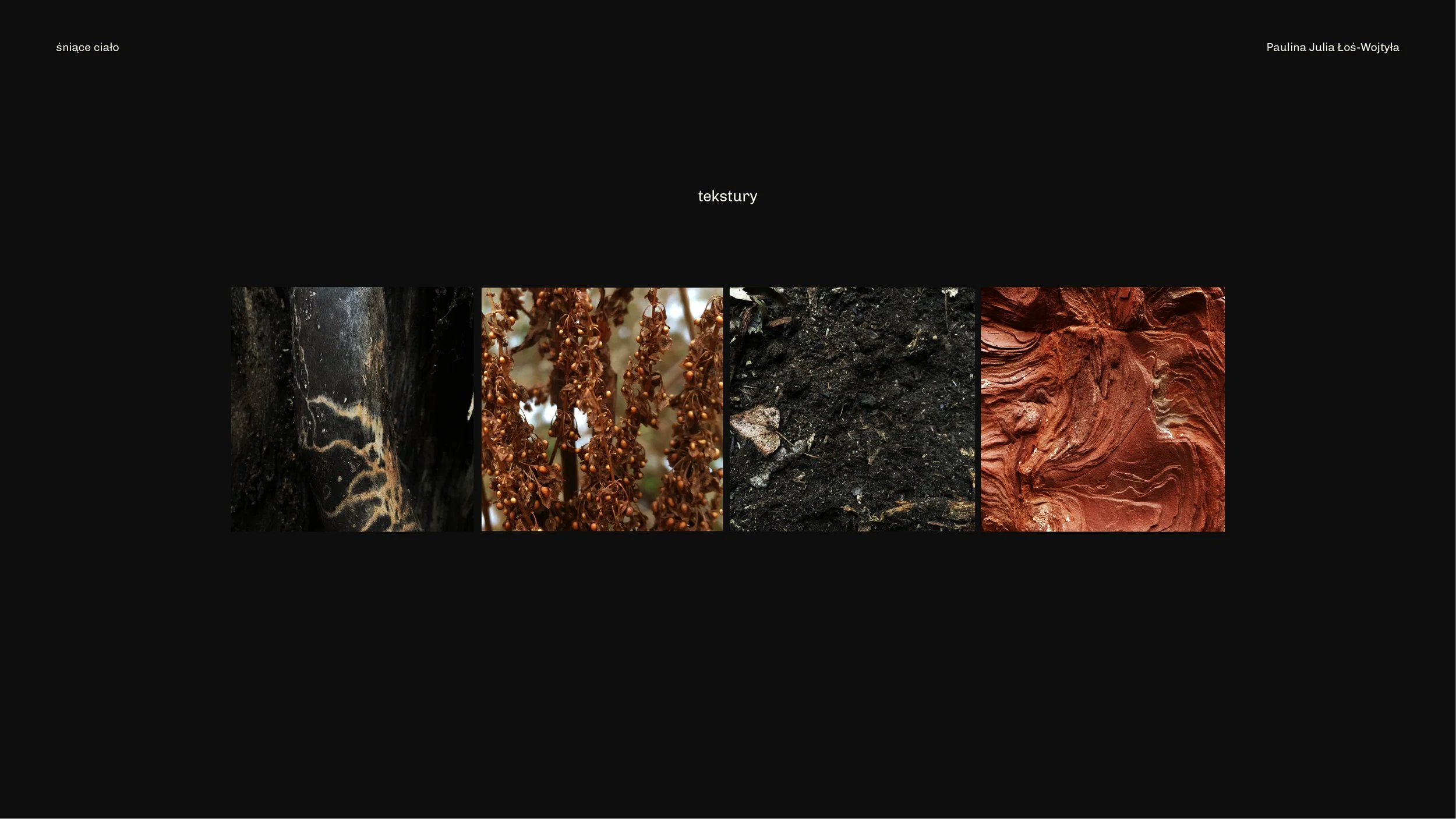 sniace cialo_elementy identyfikacji-19.jpg