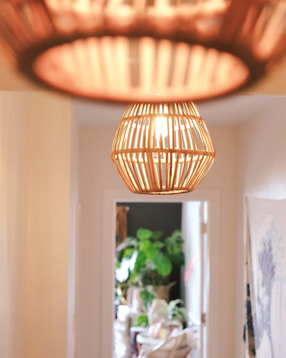 Ceiling light fixture with wooden slats, viewed from below, with a doorway and plants visible in the background.
