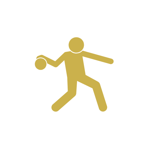 GOLD SPONSORSHIP $1000