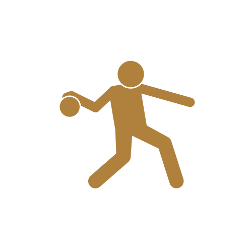 BRONZE SPONSORSHIP $250