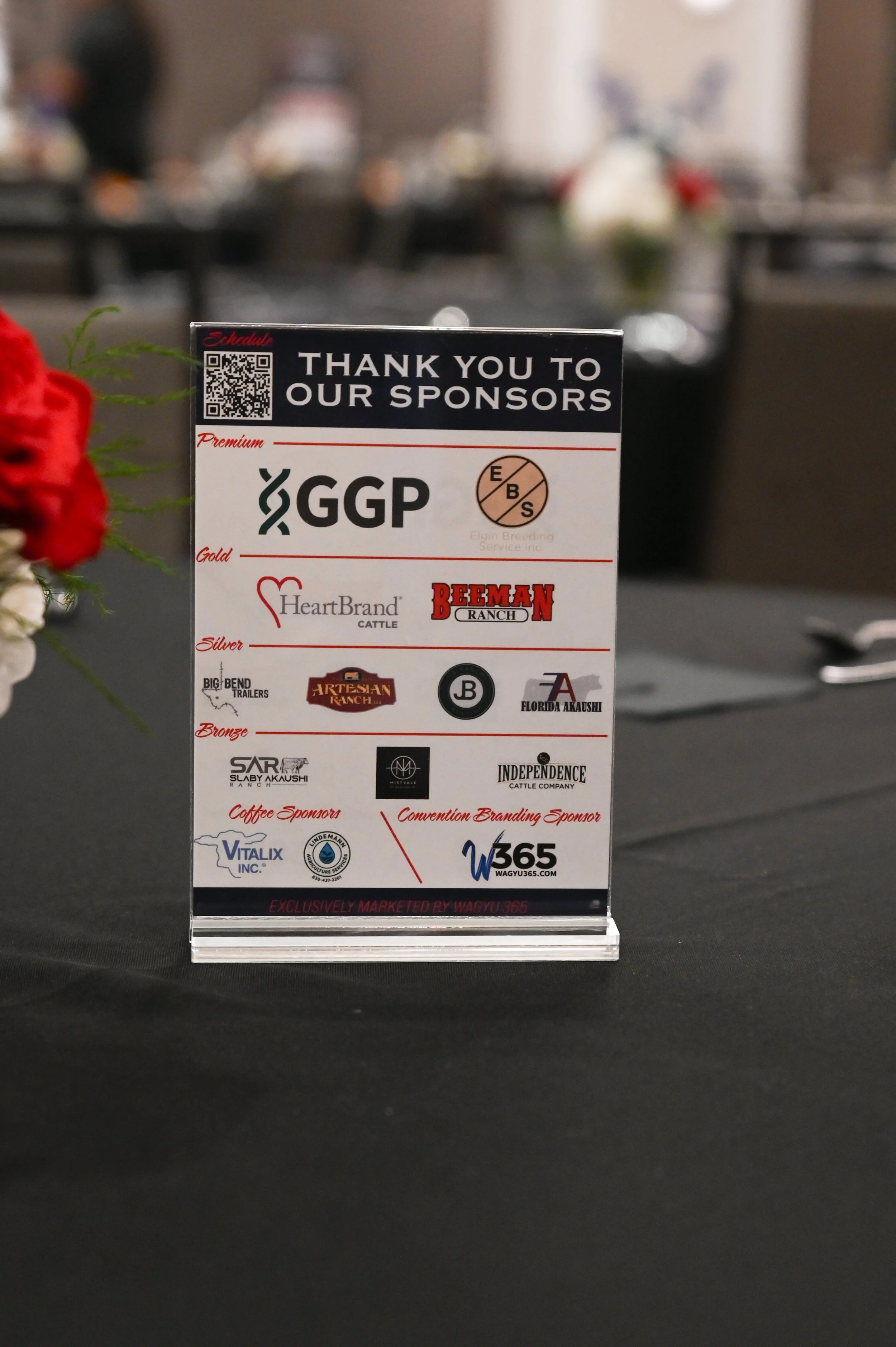 RFP_3765-3.jpg