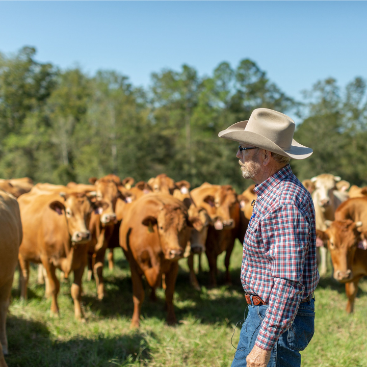 American Akauashi Association and The American Rancher