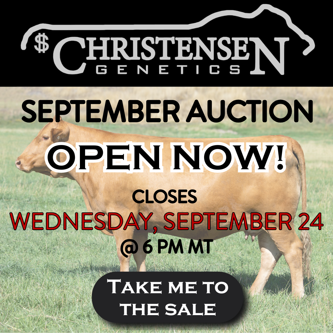 Christensen Genetics September Auction