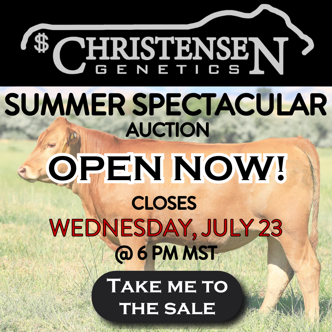 Christensen Genetics Summer Spectacular