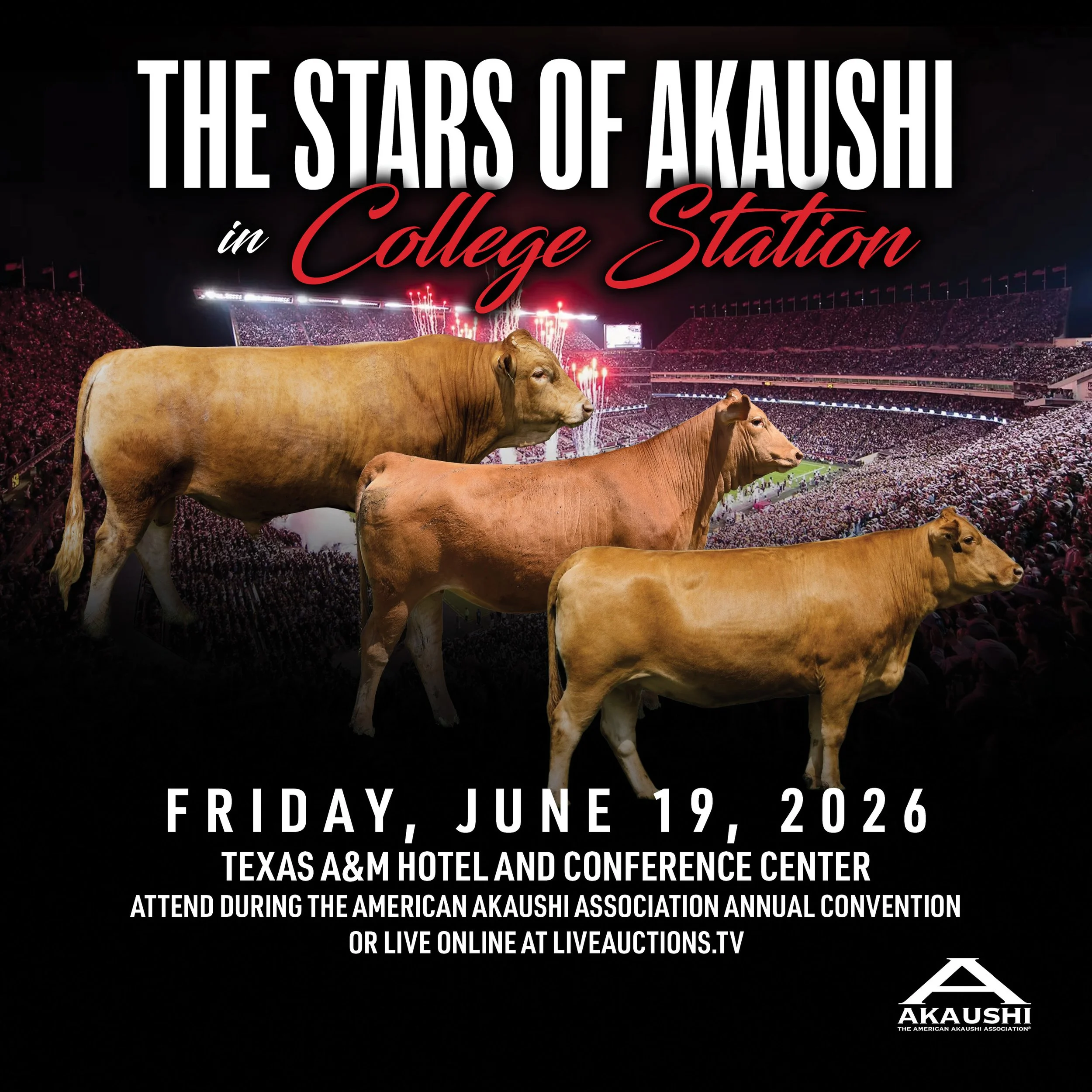 Stars of Akaushi in College Station
