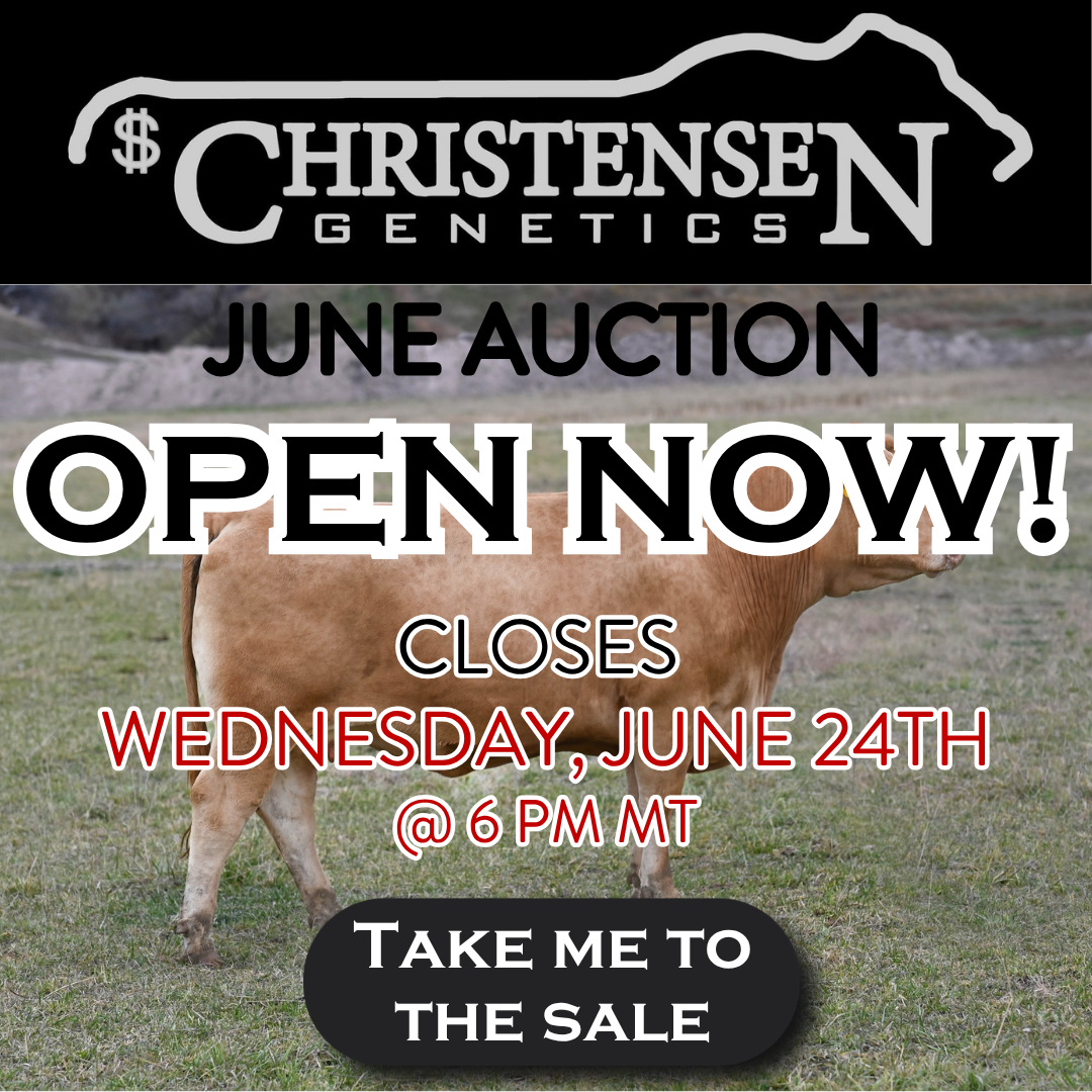 Christensen Genetics June Auction