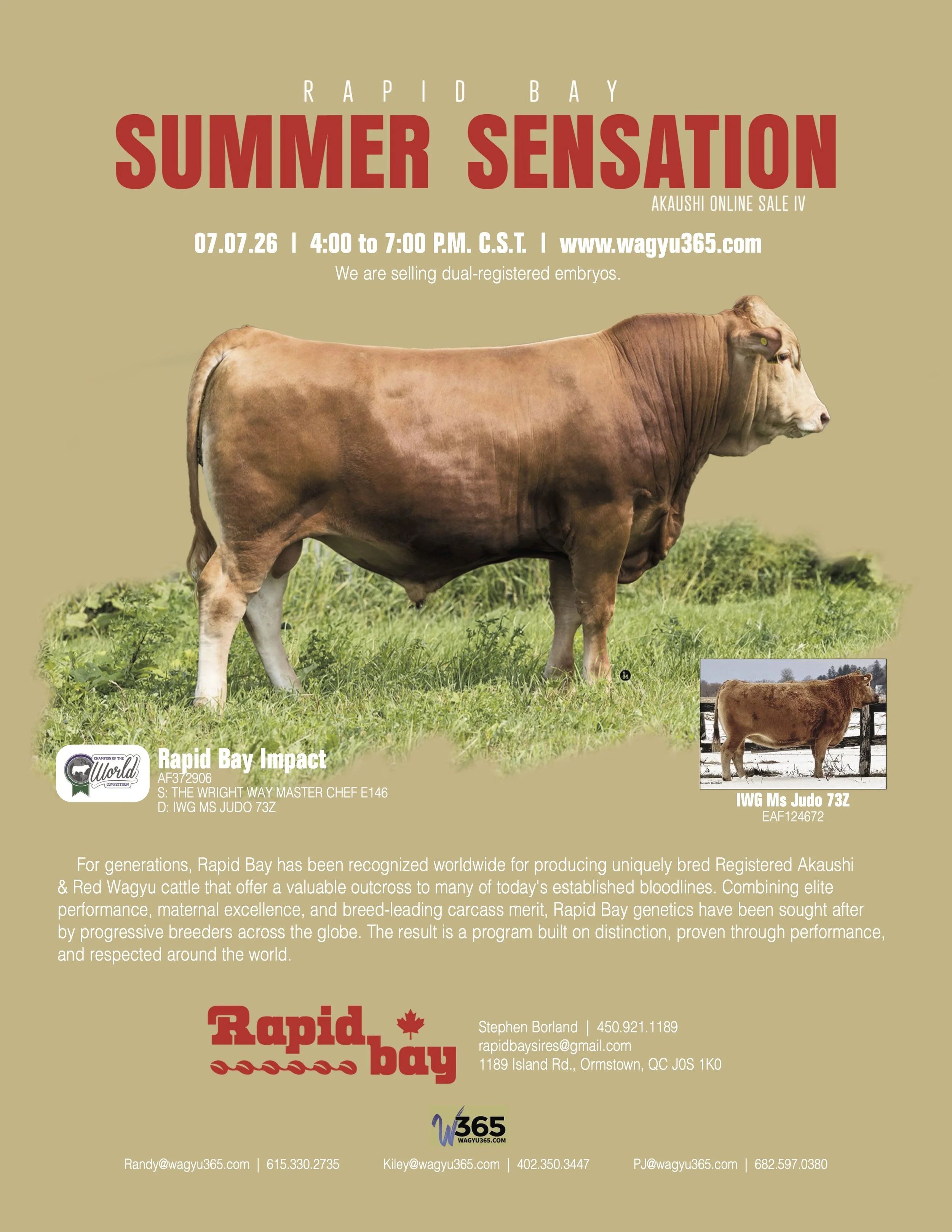 Rapid Bay Summer Sensations IV Online Sale