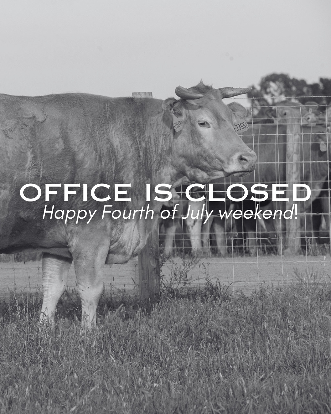 Office will be closed.
