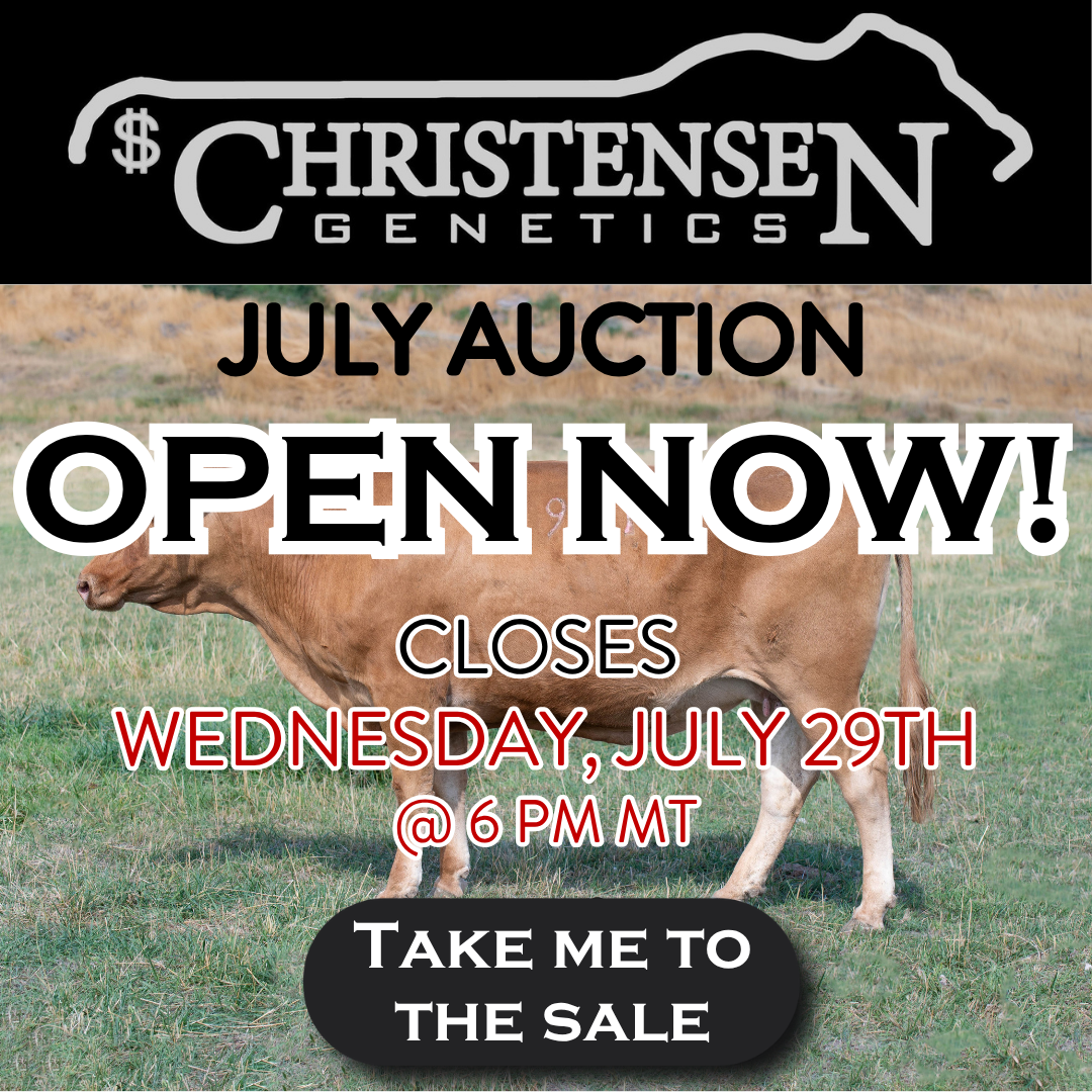 Christensen Genetics July Auction