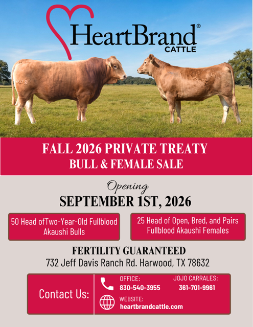 HeartBrand Cattle&nbsp;Fall 2026 Private Treaty Bull &amp; Female Sale 