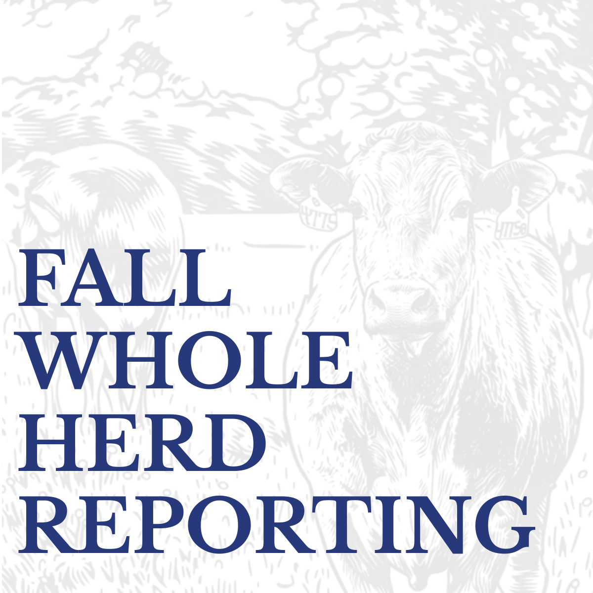 Fall Whole Herd Reporting Invoices Sent Out