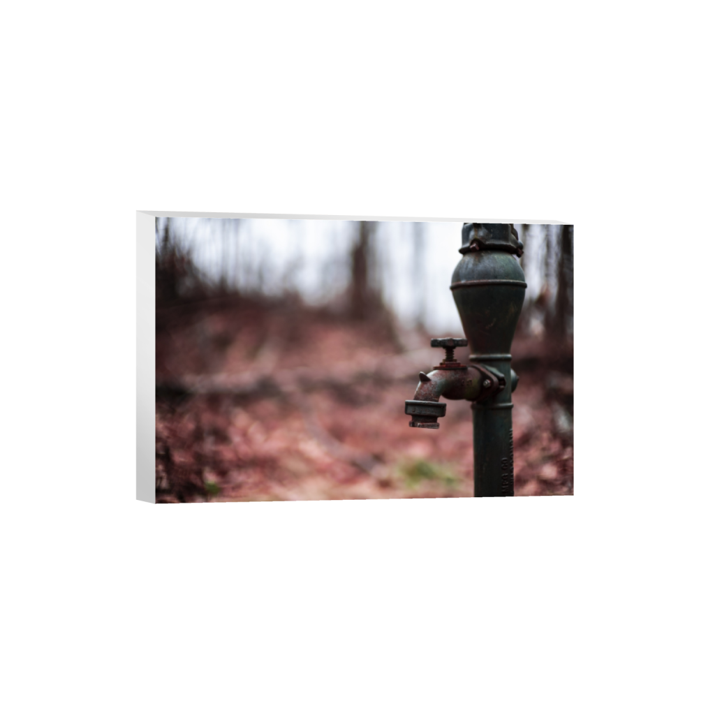 canvas_rectangle2_3_0_0_5976_3984_0.png