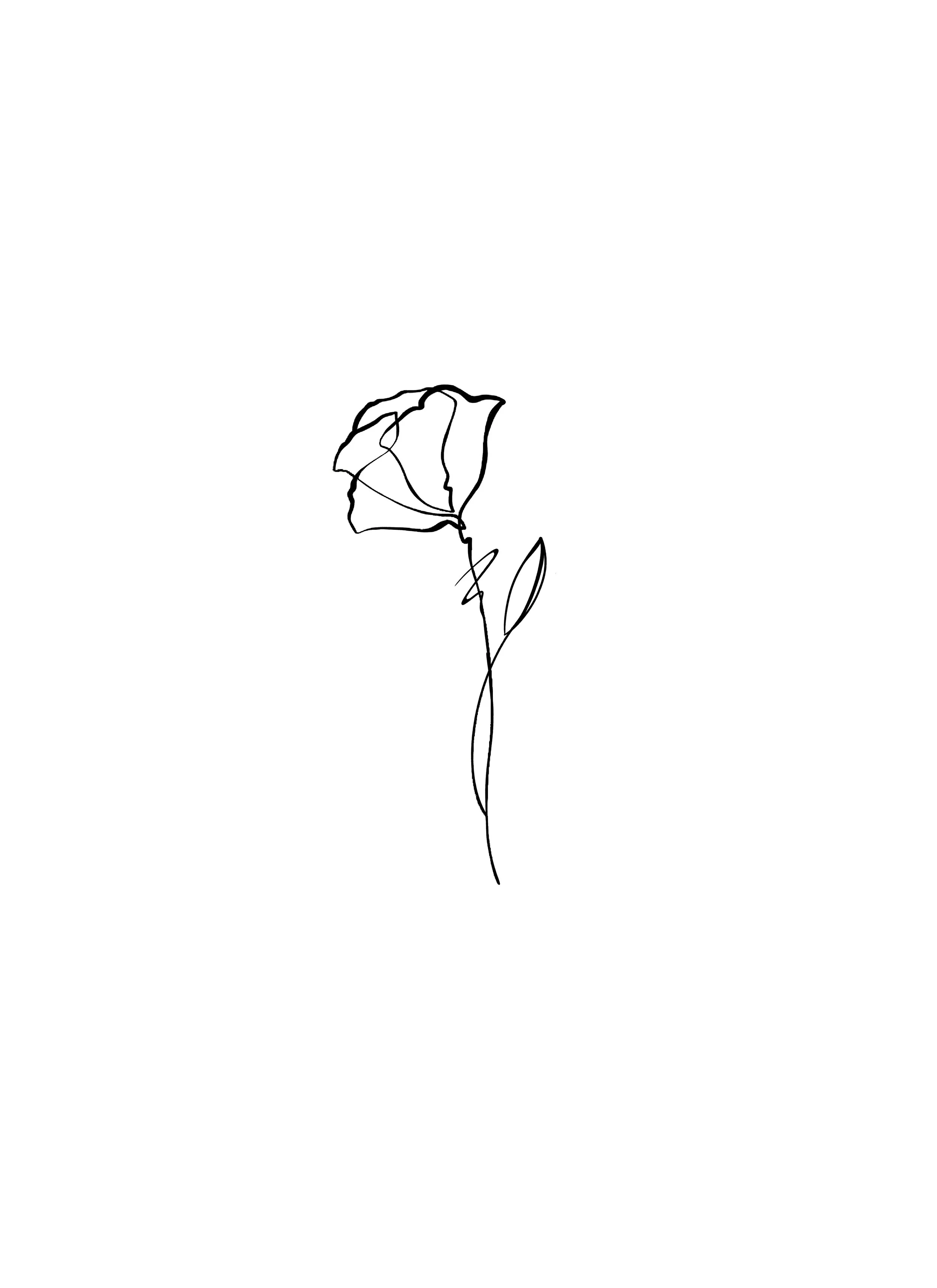 IMG_5520.jpeg