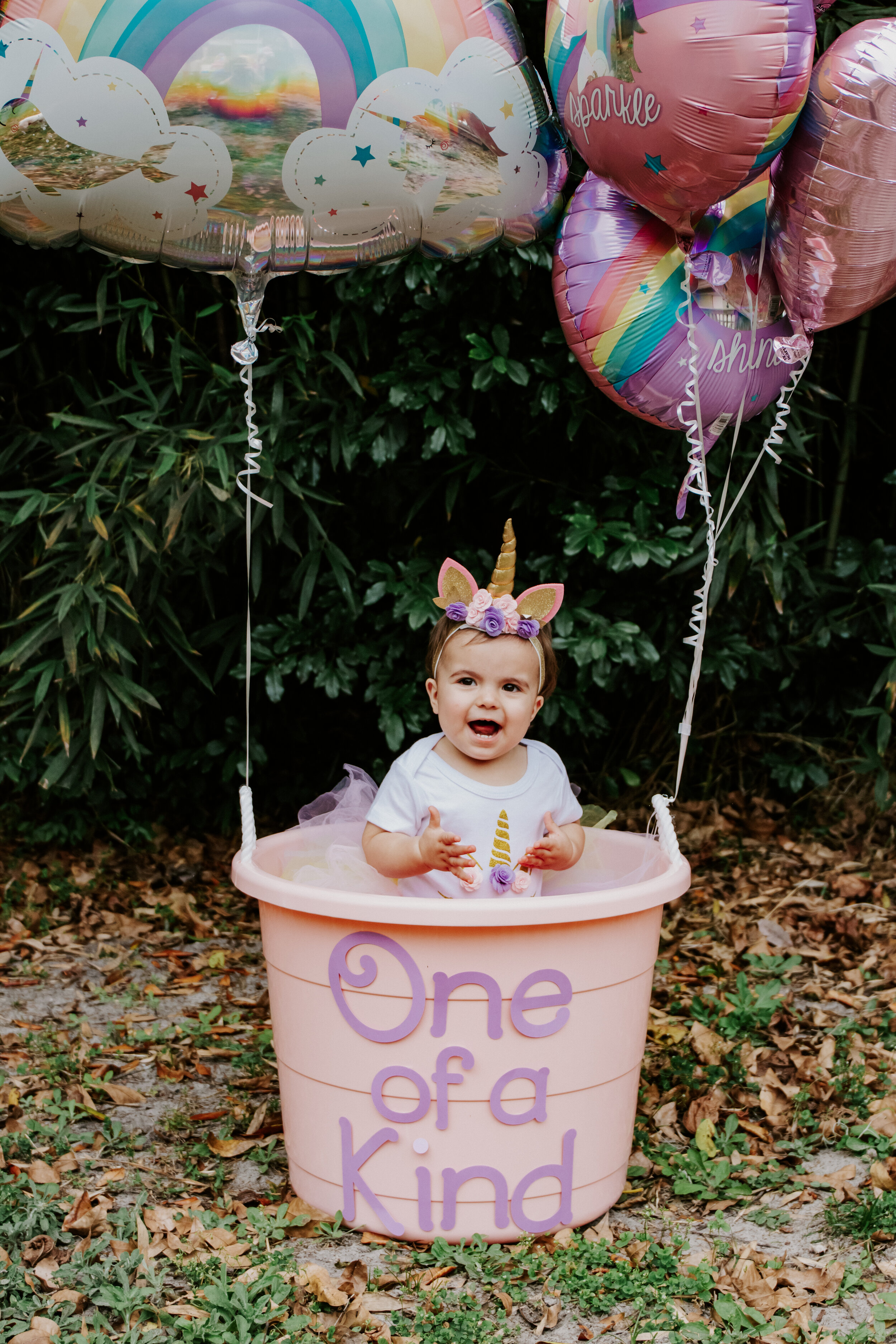 first birthday, girl party, happy birthday photos, milestone photoshoot, Tampa