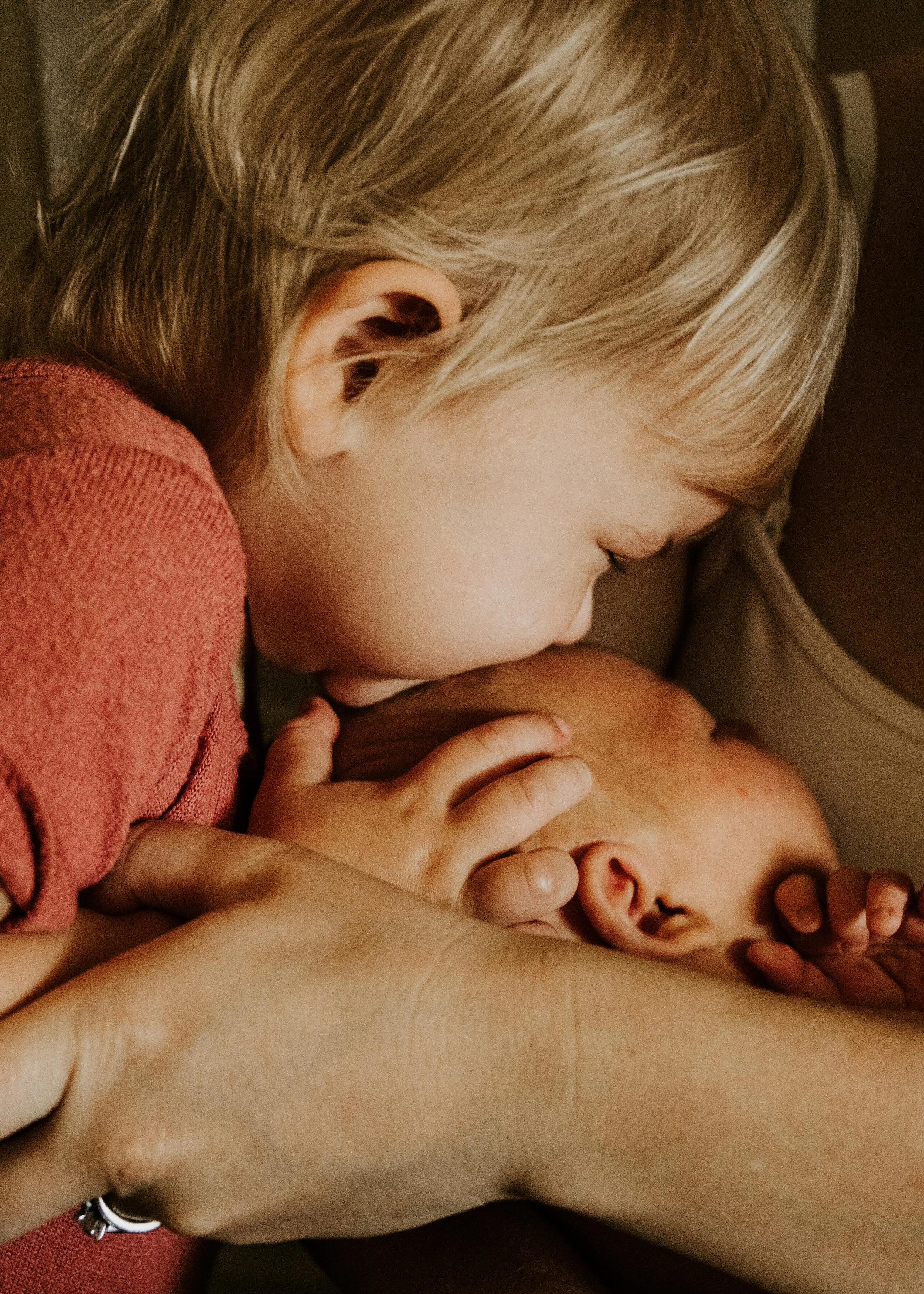 best newborn photographer near me, Tampa