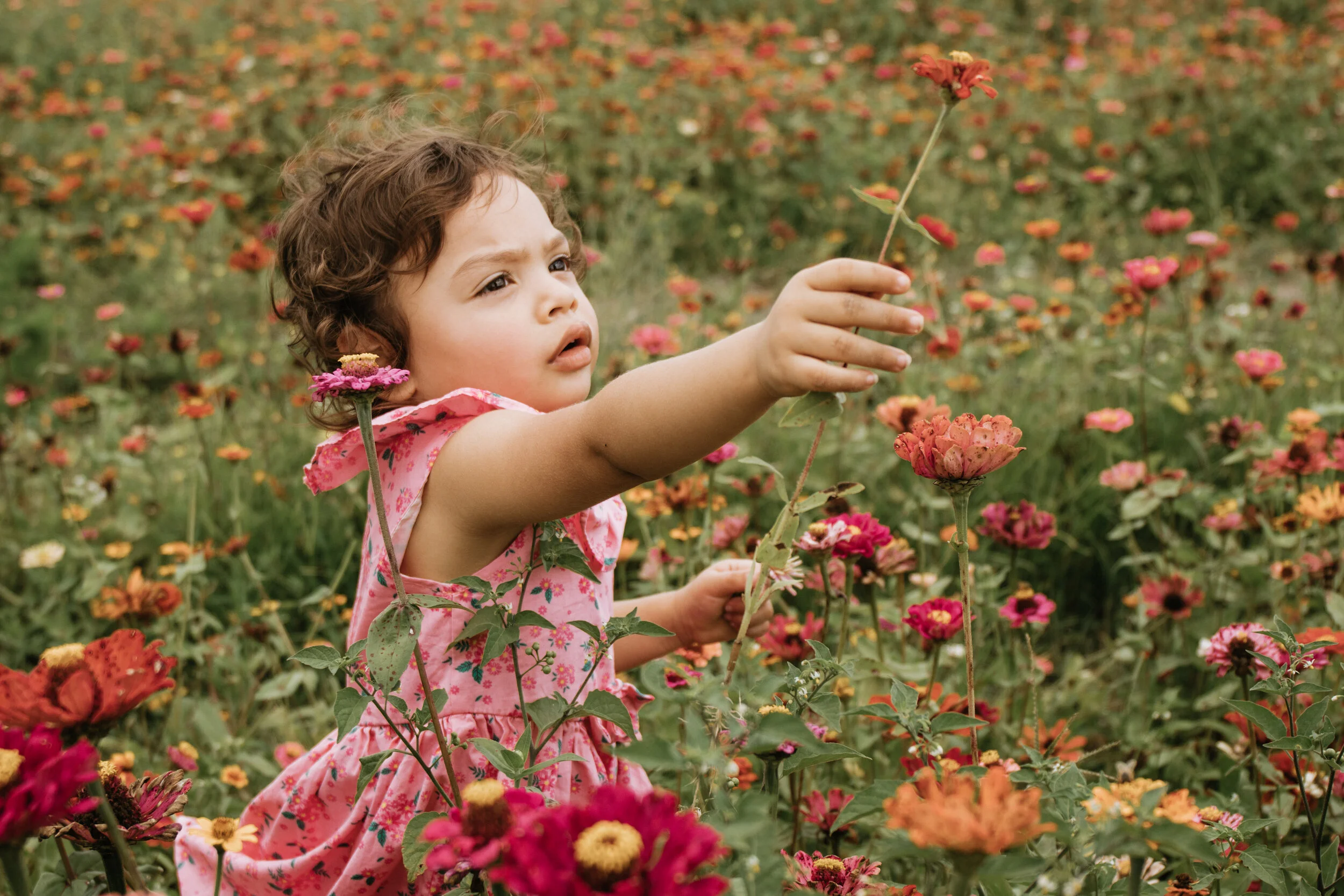 toddler birthday photoshoot