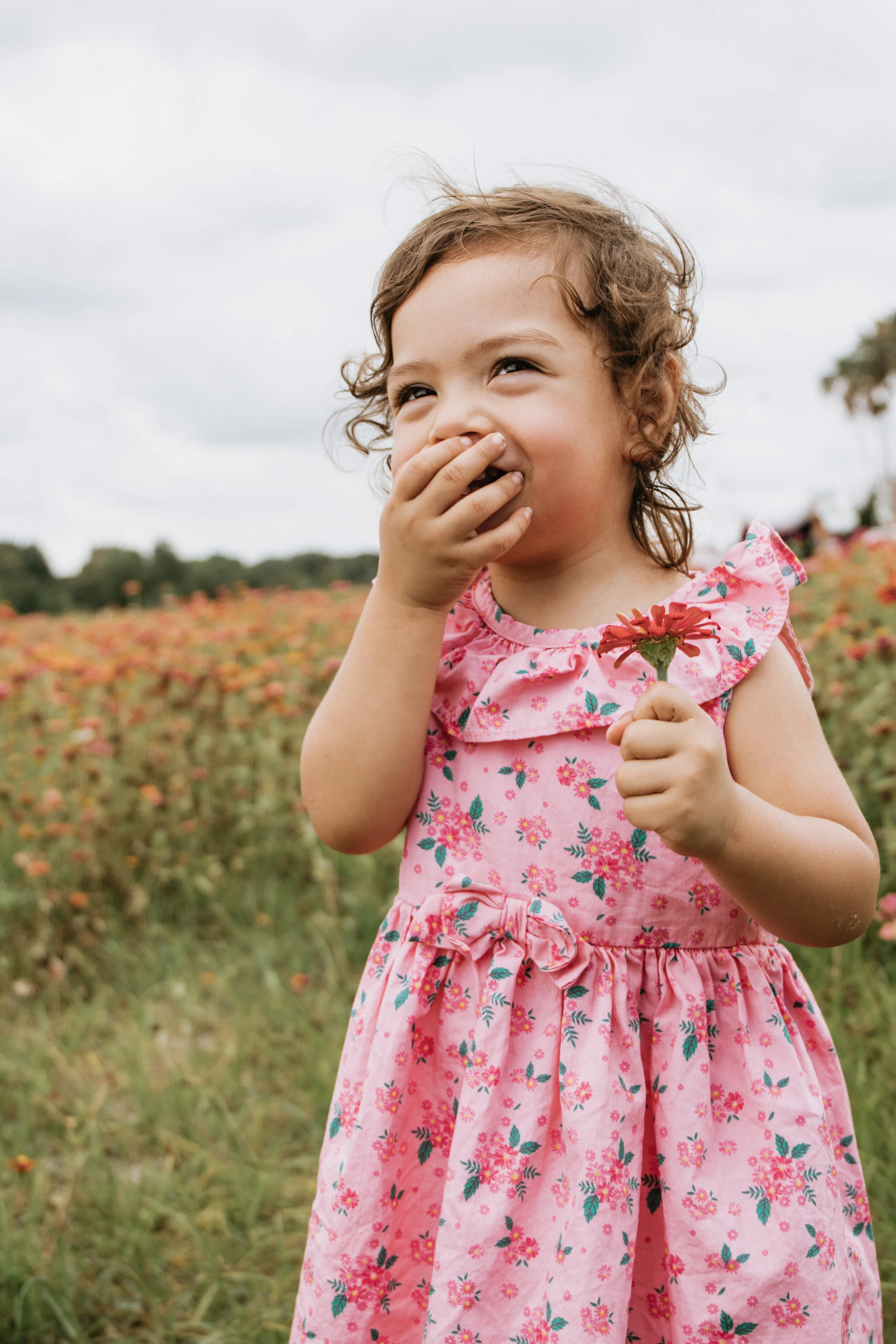 milestone photographer 