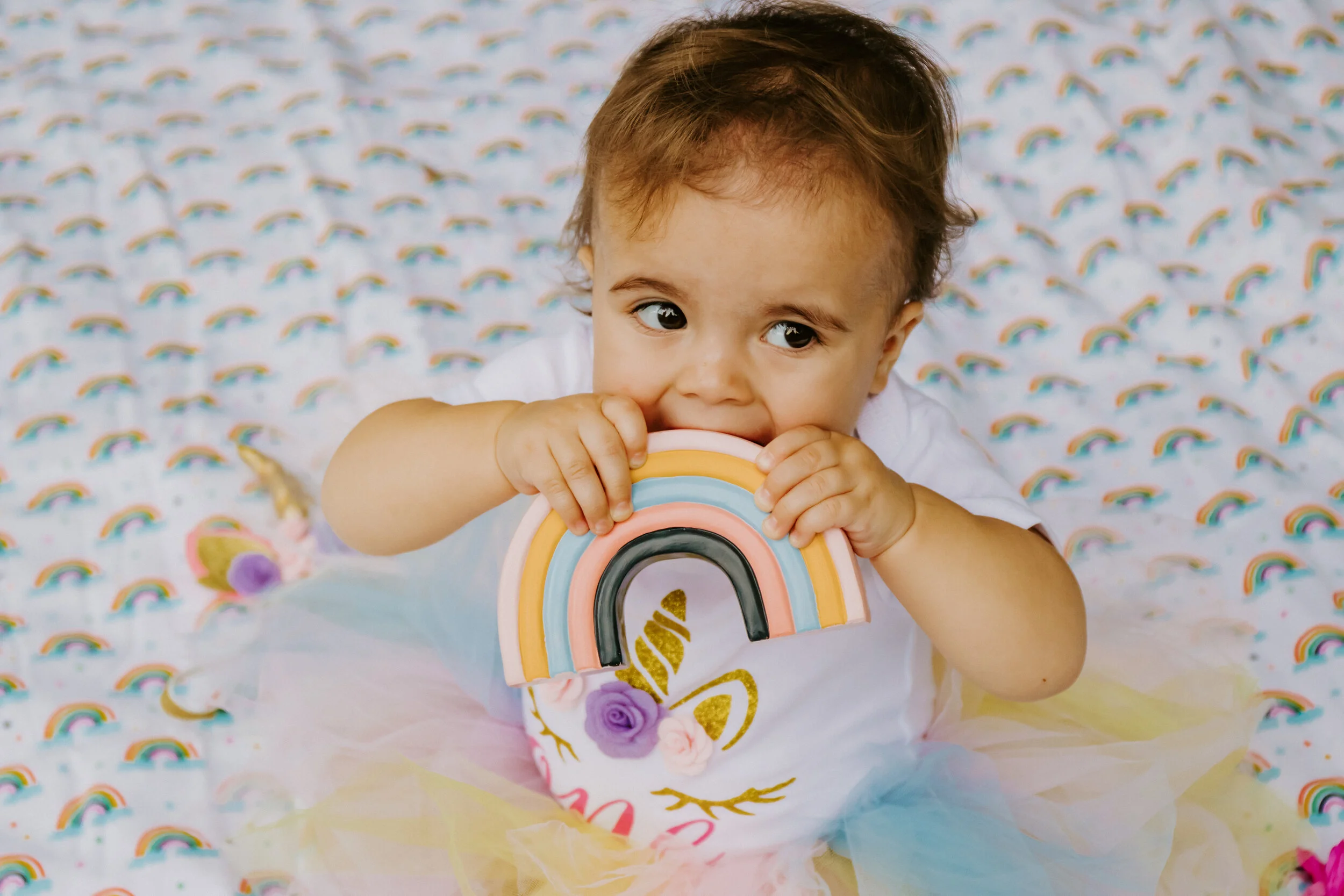 first birthday photos, Tampa