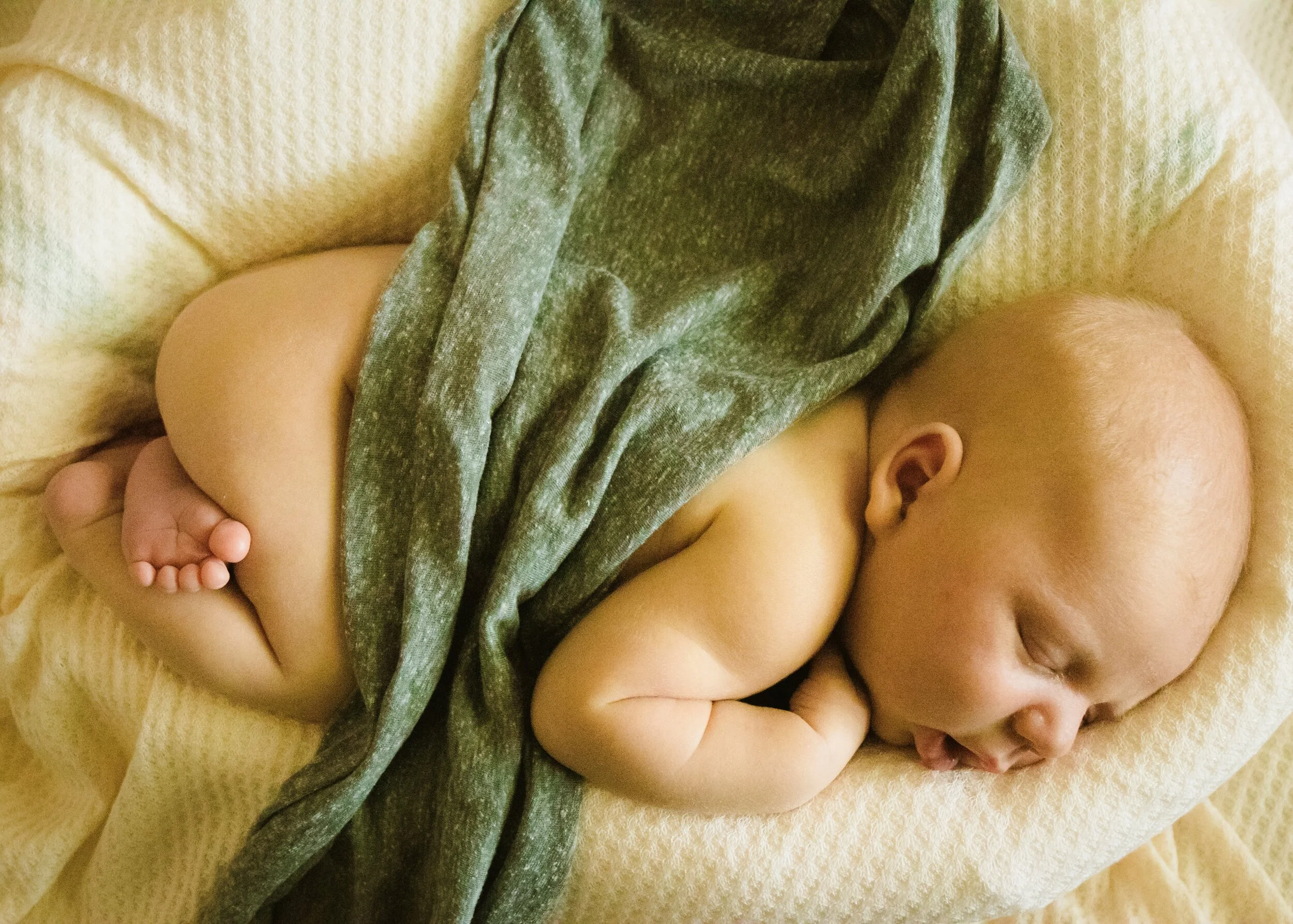in home newborn photos, Tampa