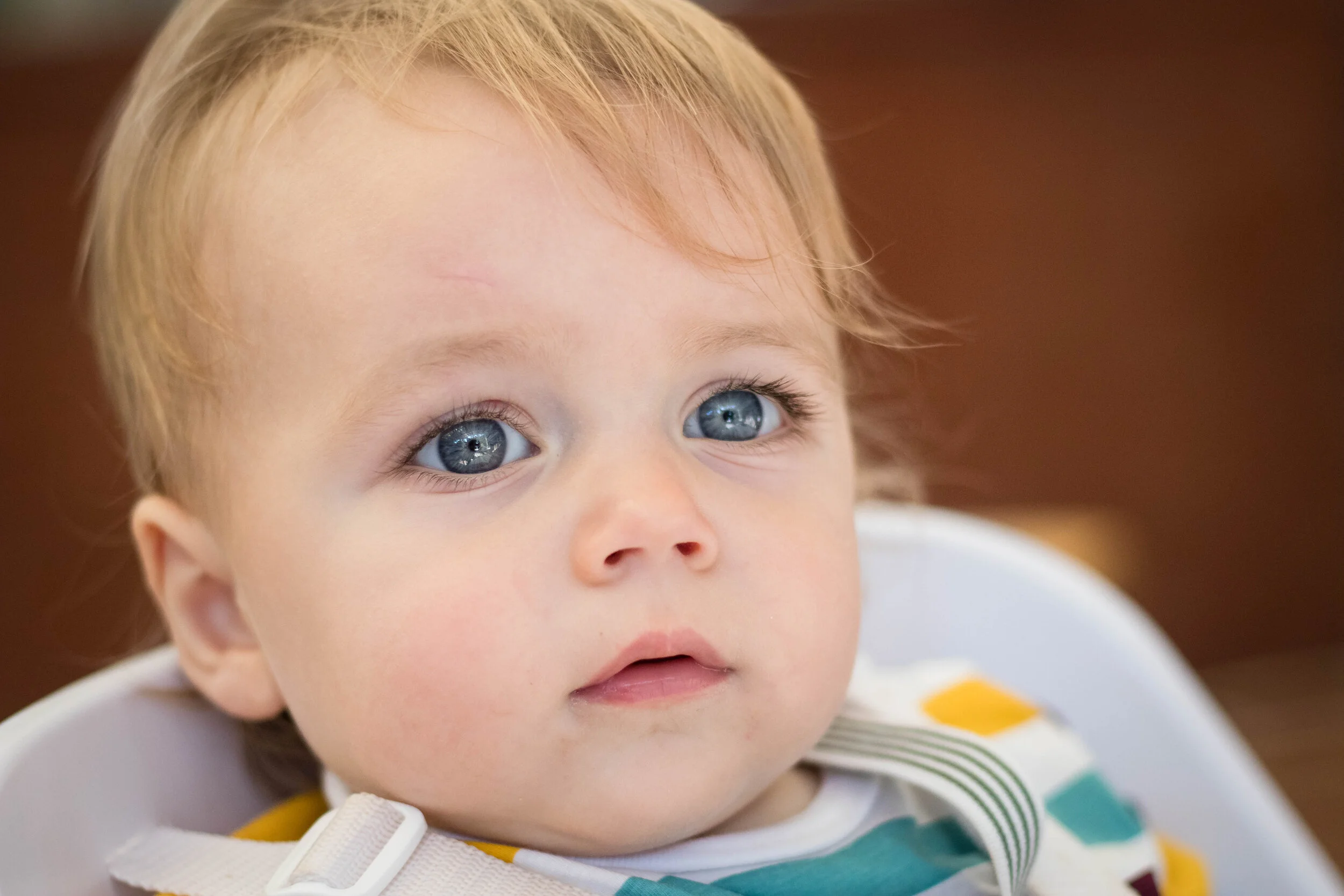 family photos, Tampa Lakeland Orlando