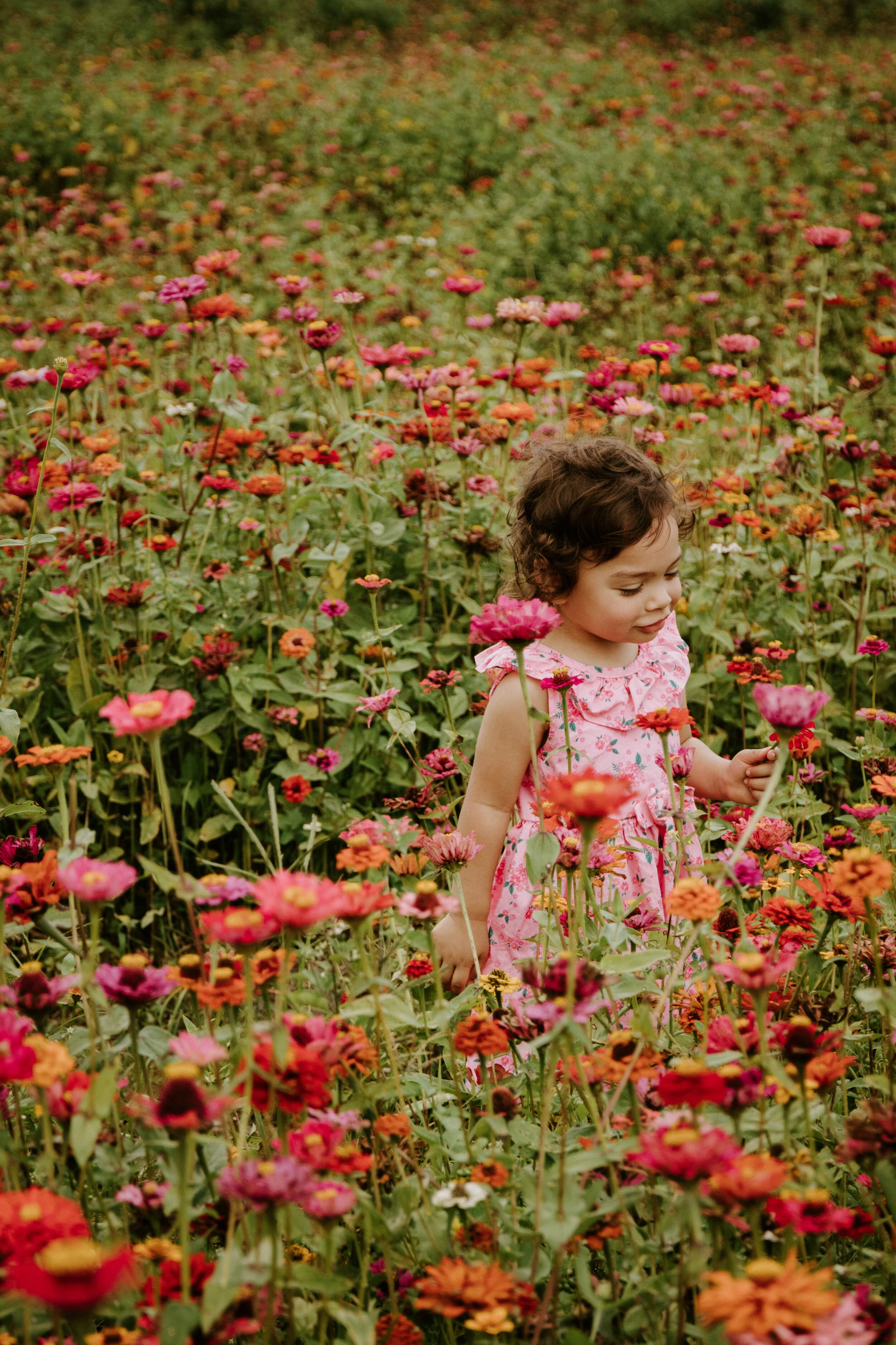field of flowers photoshoot, toddler photos, lifestyle photography, Tampa
