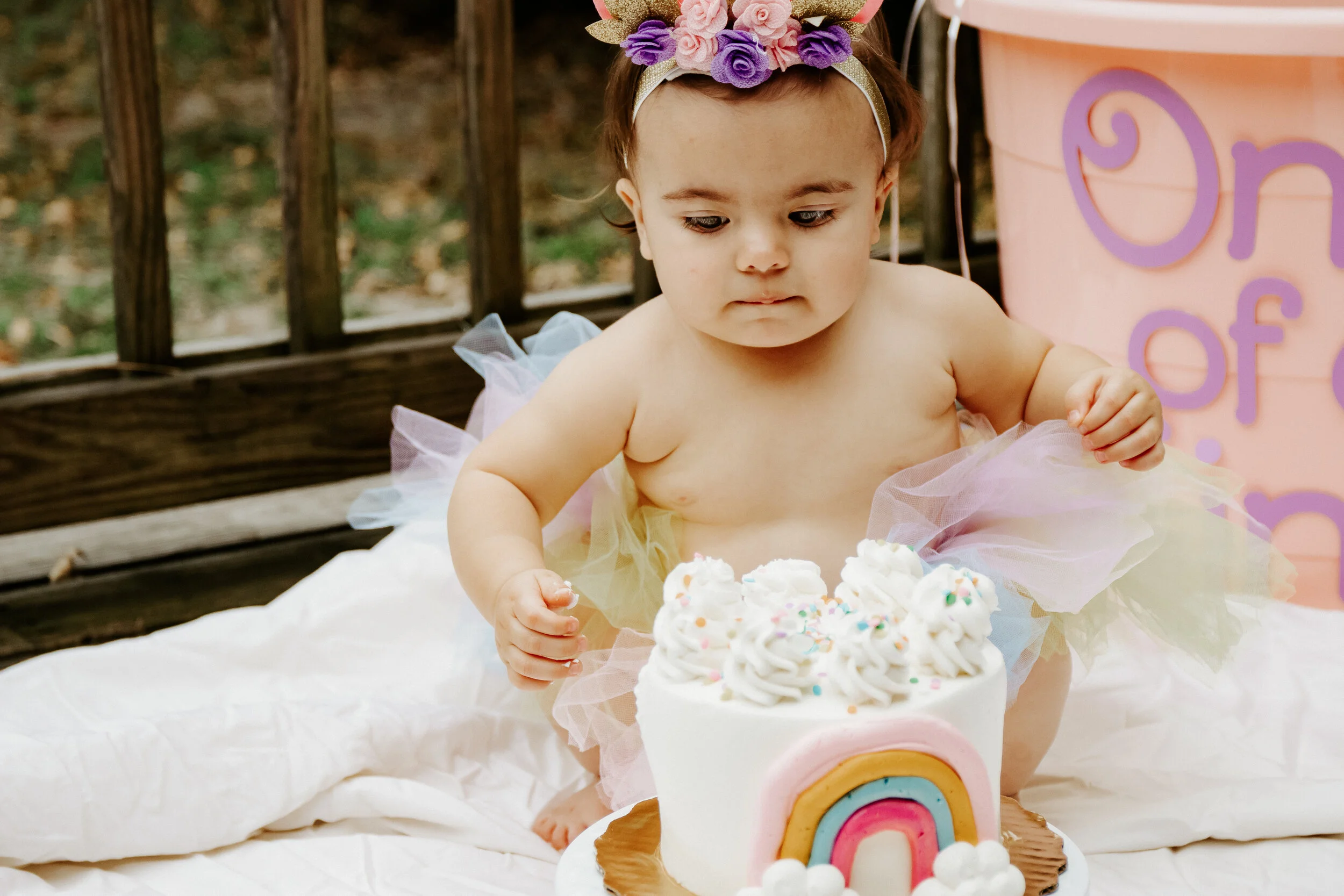 best family photographer, Tampa